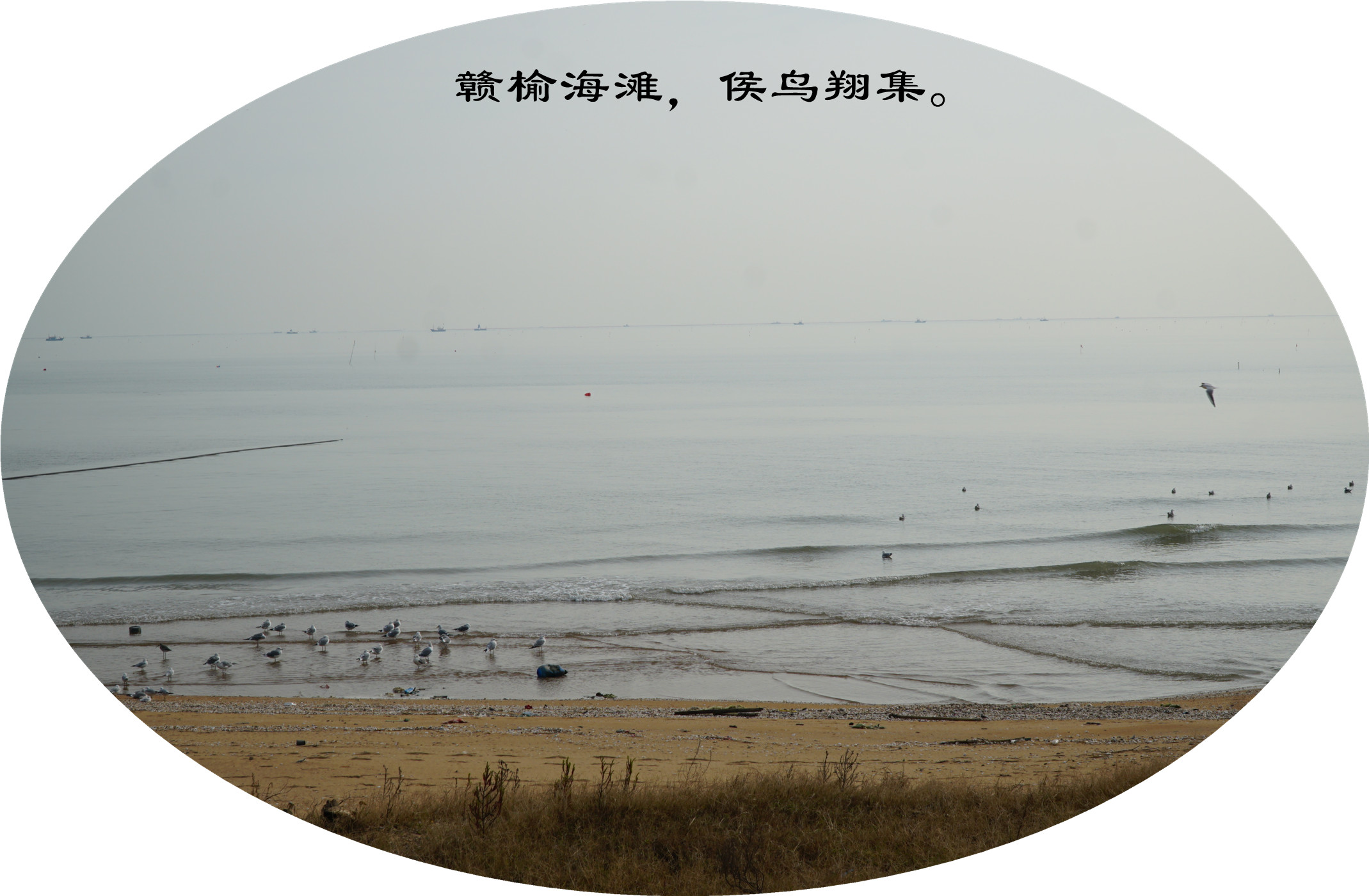 DSC03707.jpg