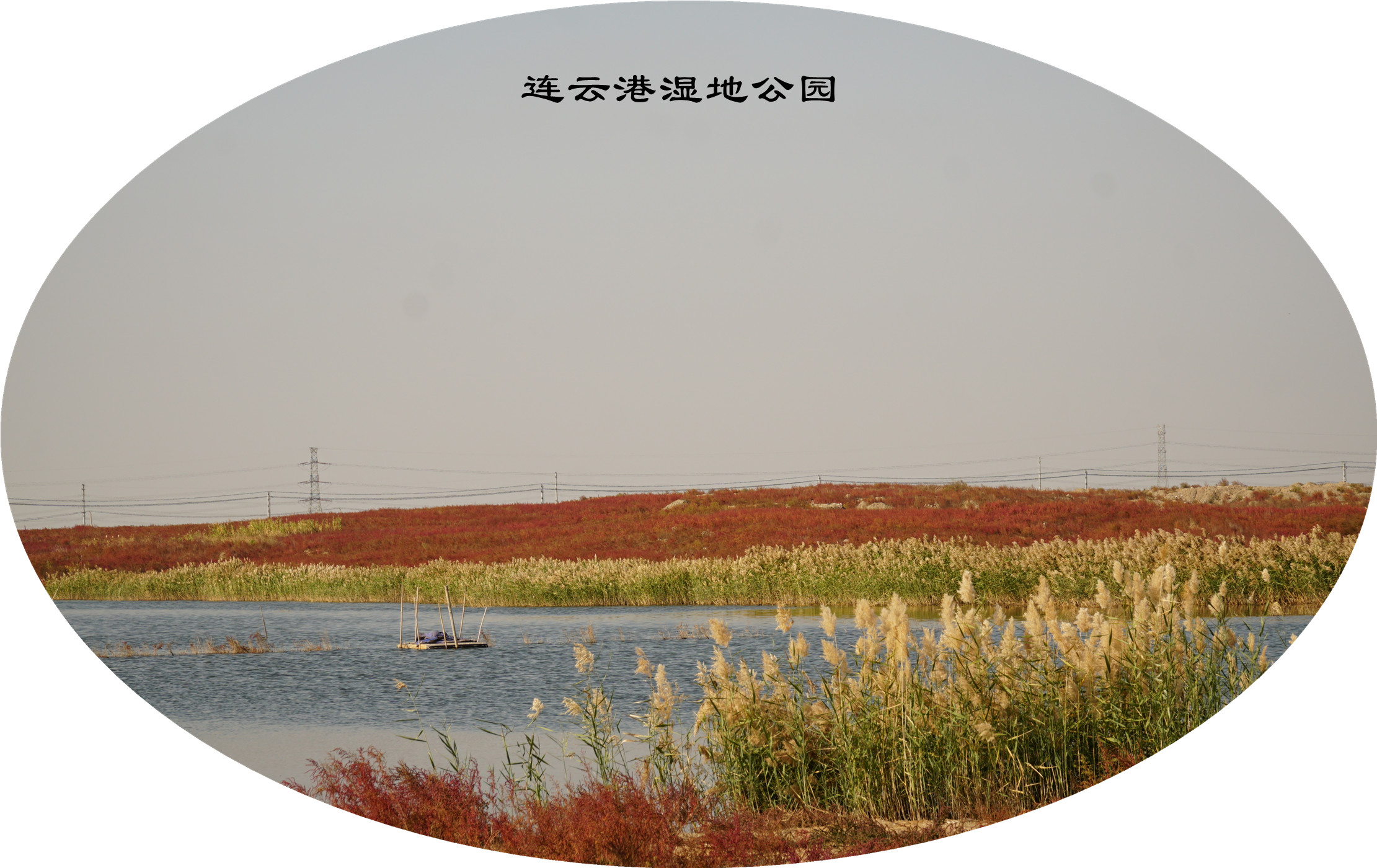 DSC03726.jpg