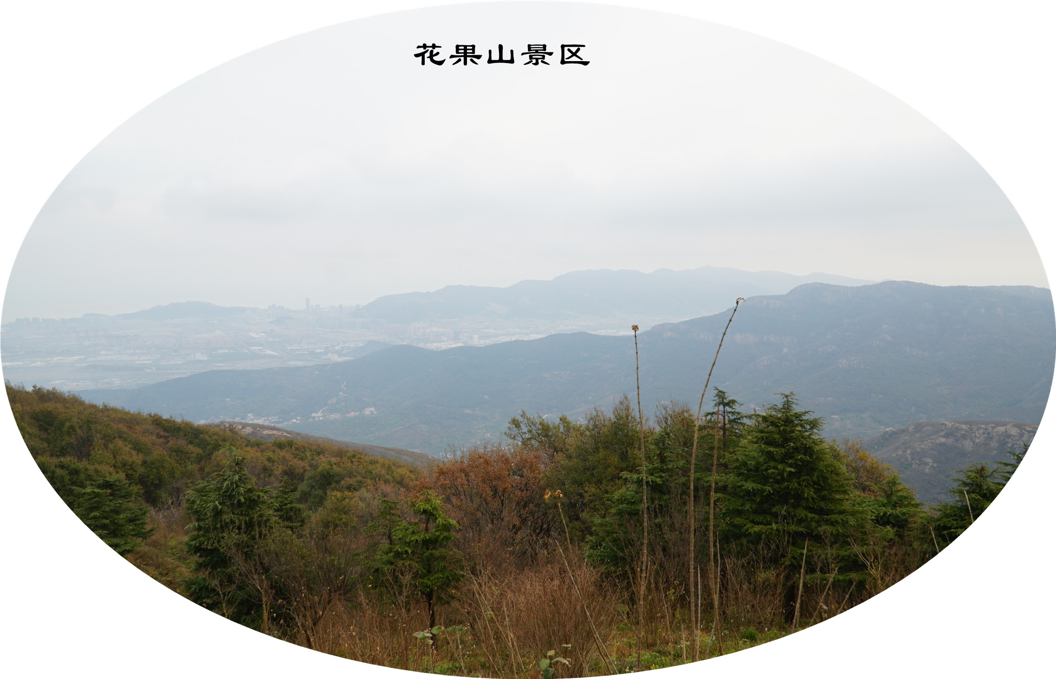 DSC03734.jpg