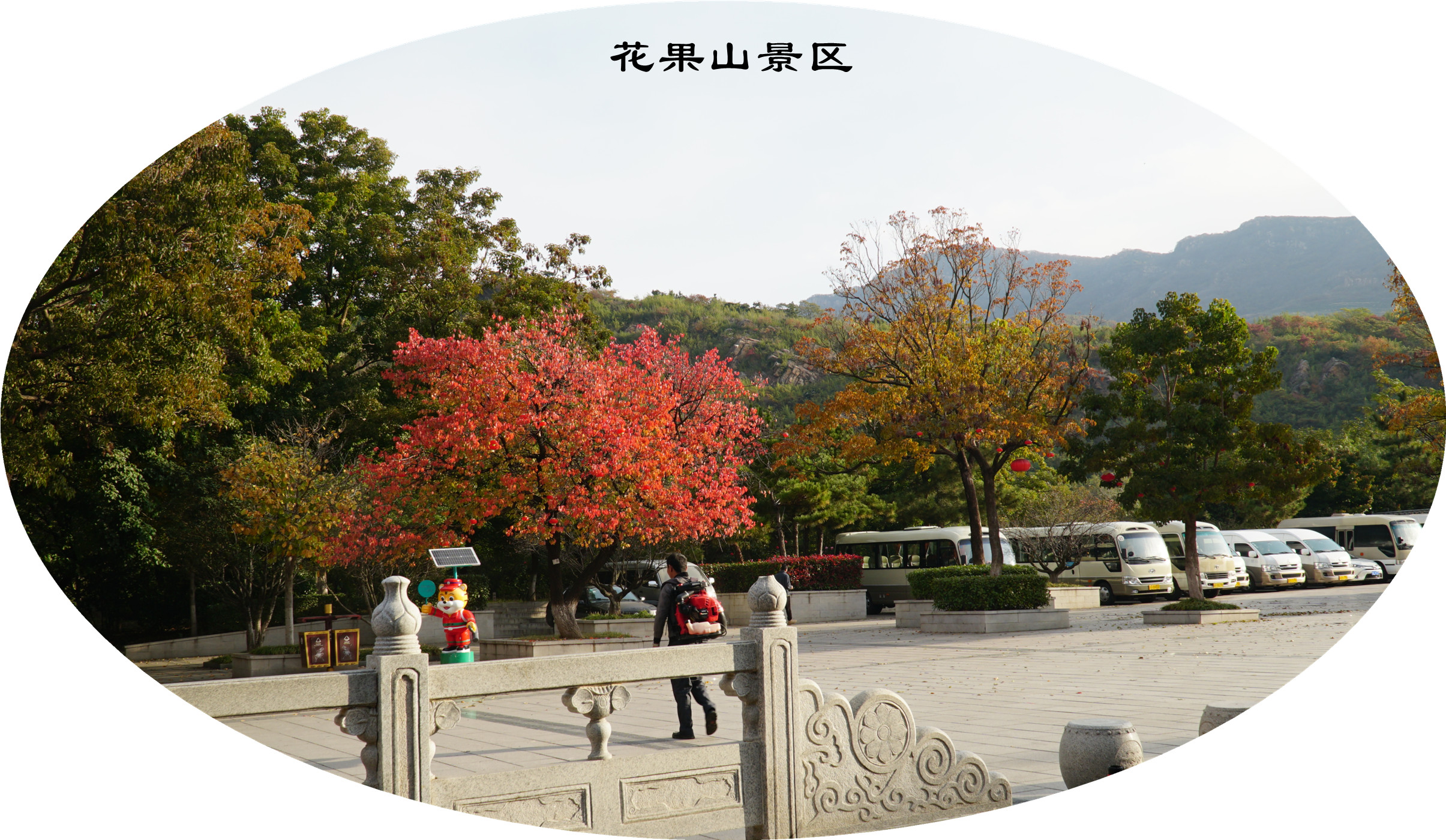 DSC03732.jpg