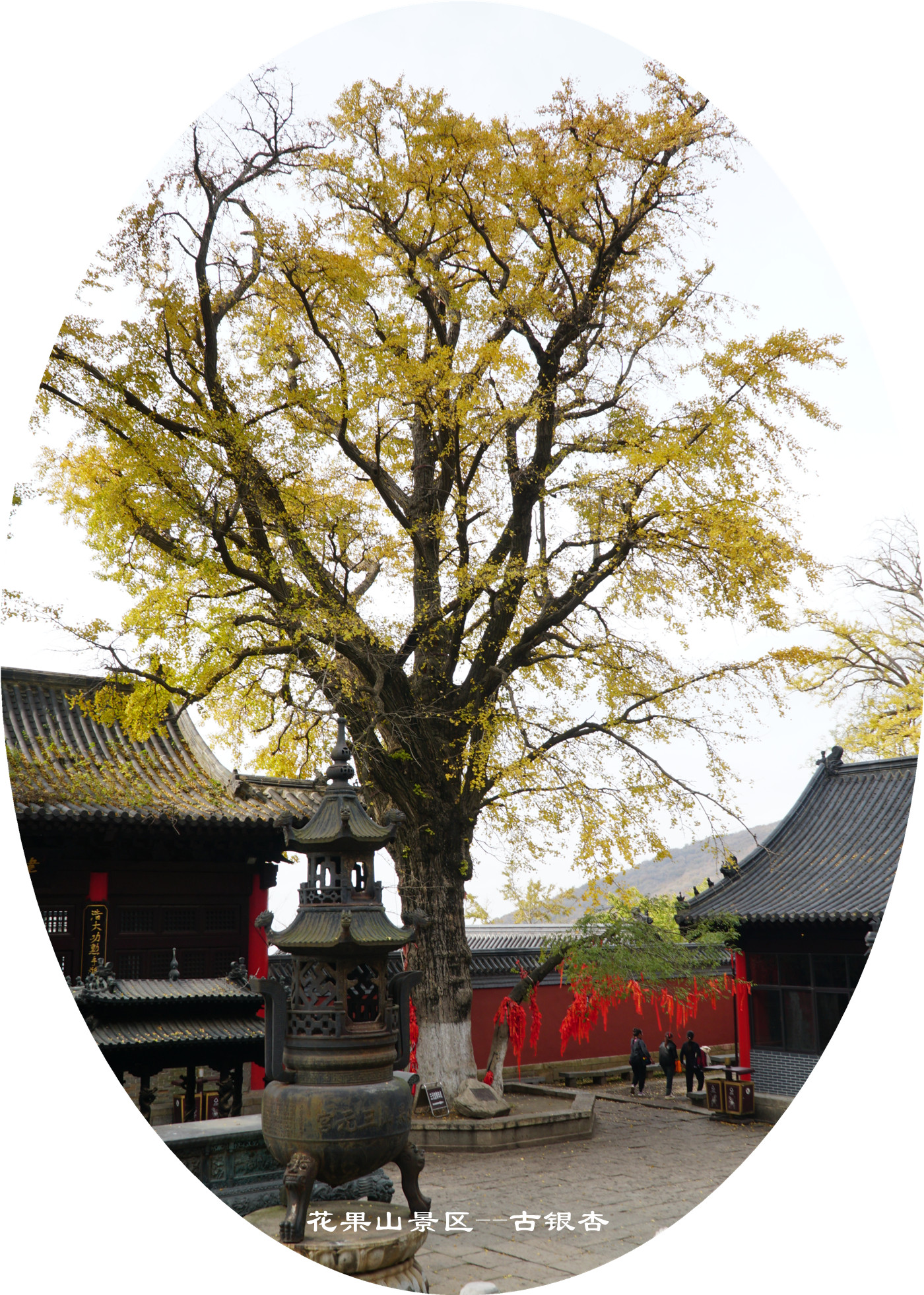 DSC03794.jpg