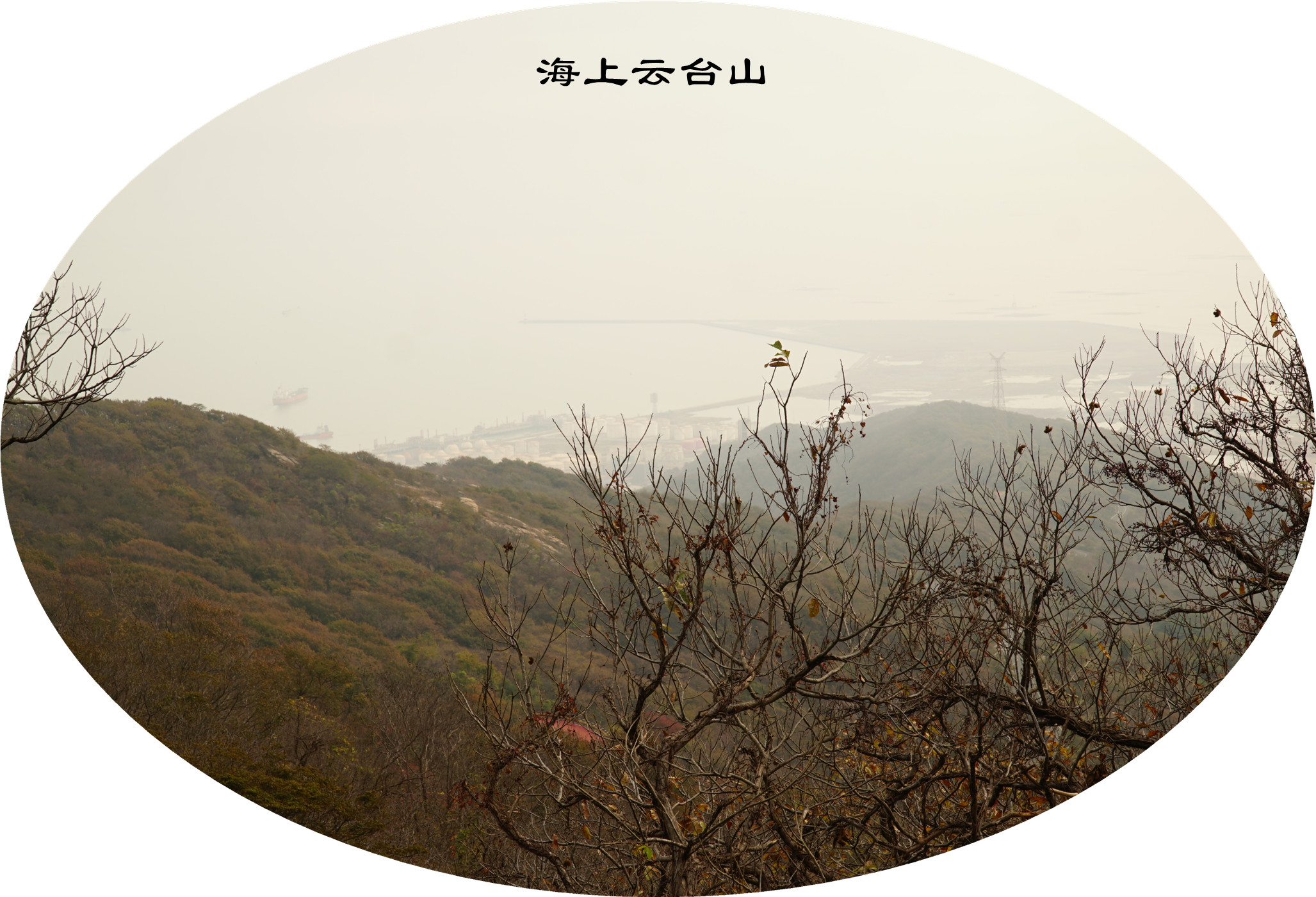 DSC03818.jpg