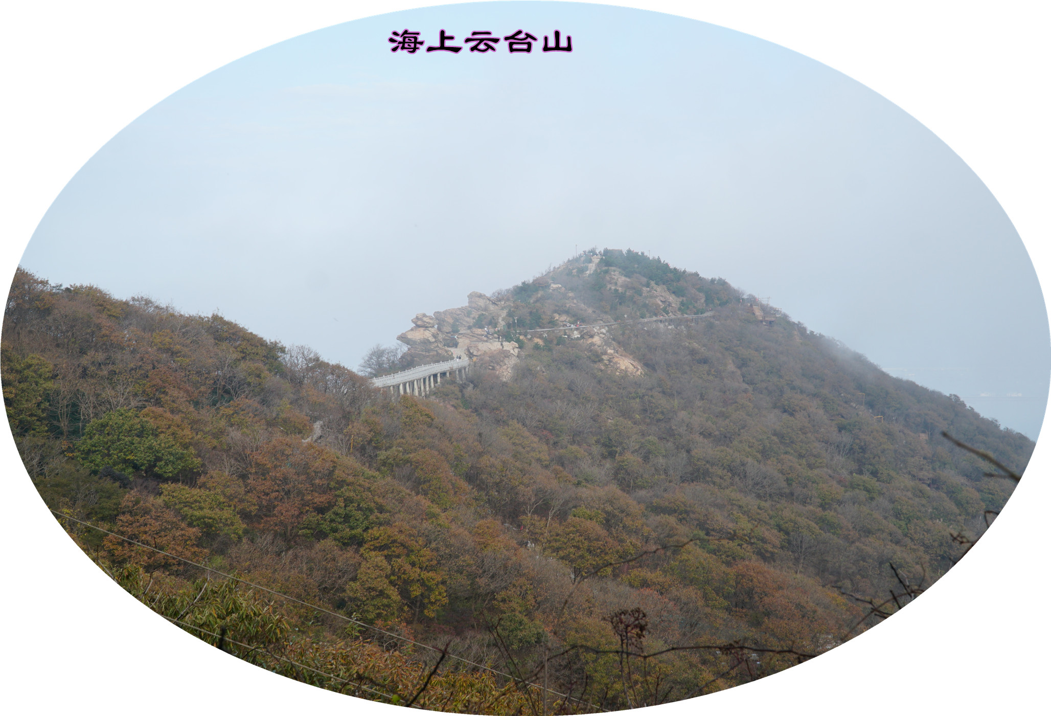 DSC03827.jpg