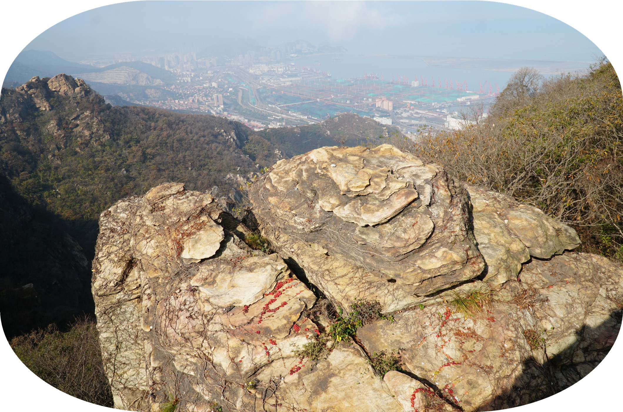 DSC03844.jpg