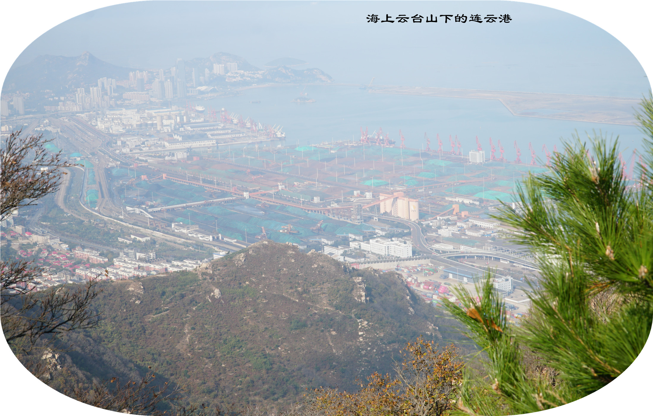 DSC03850.jpg