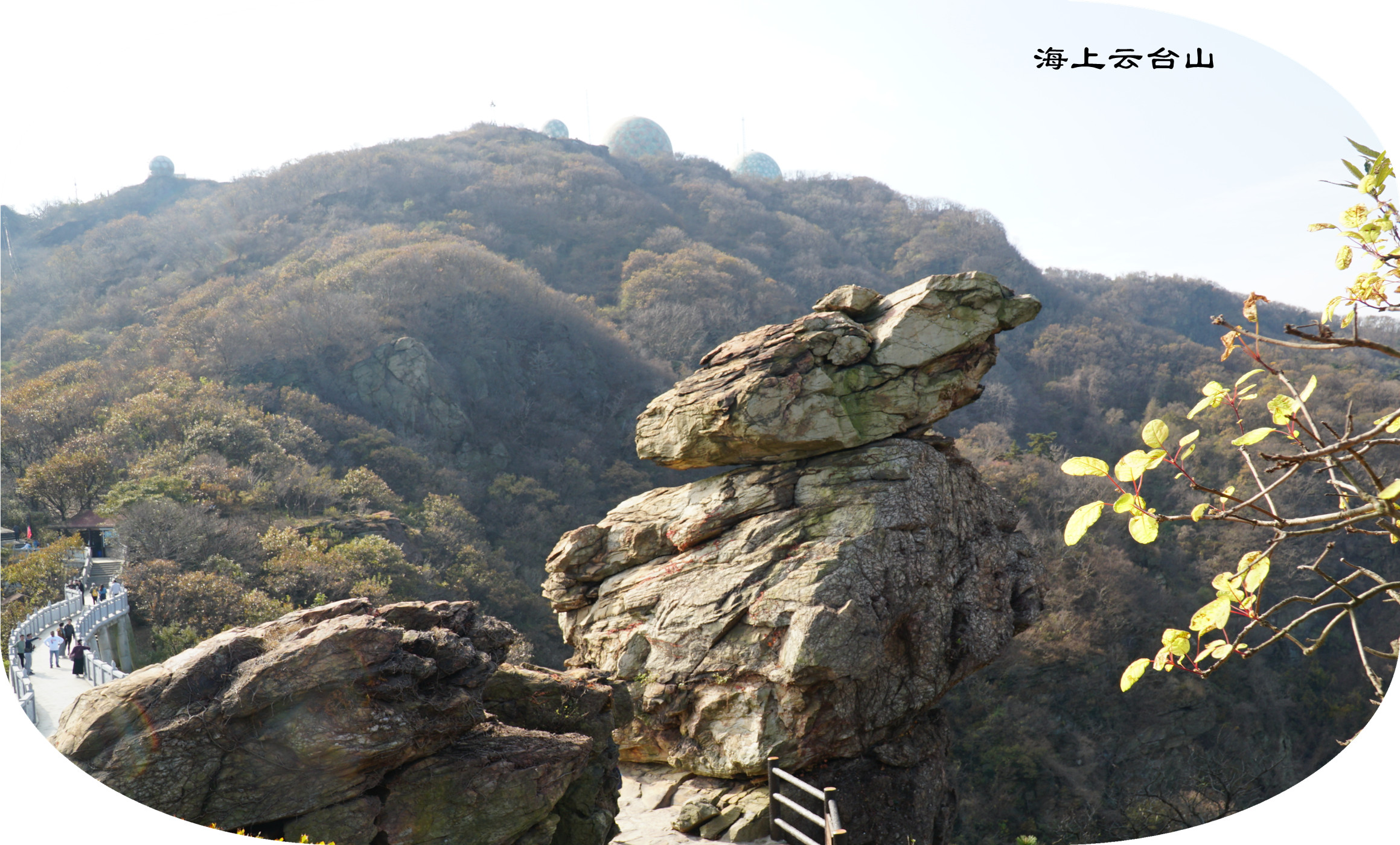 DSC03868.jpg