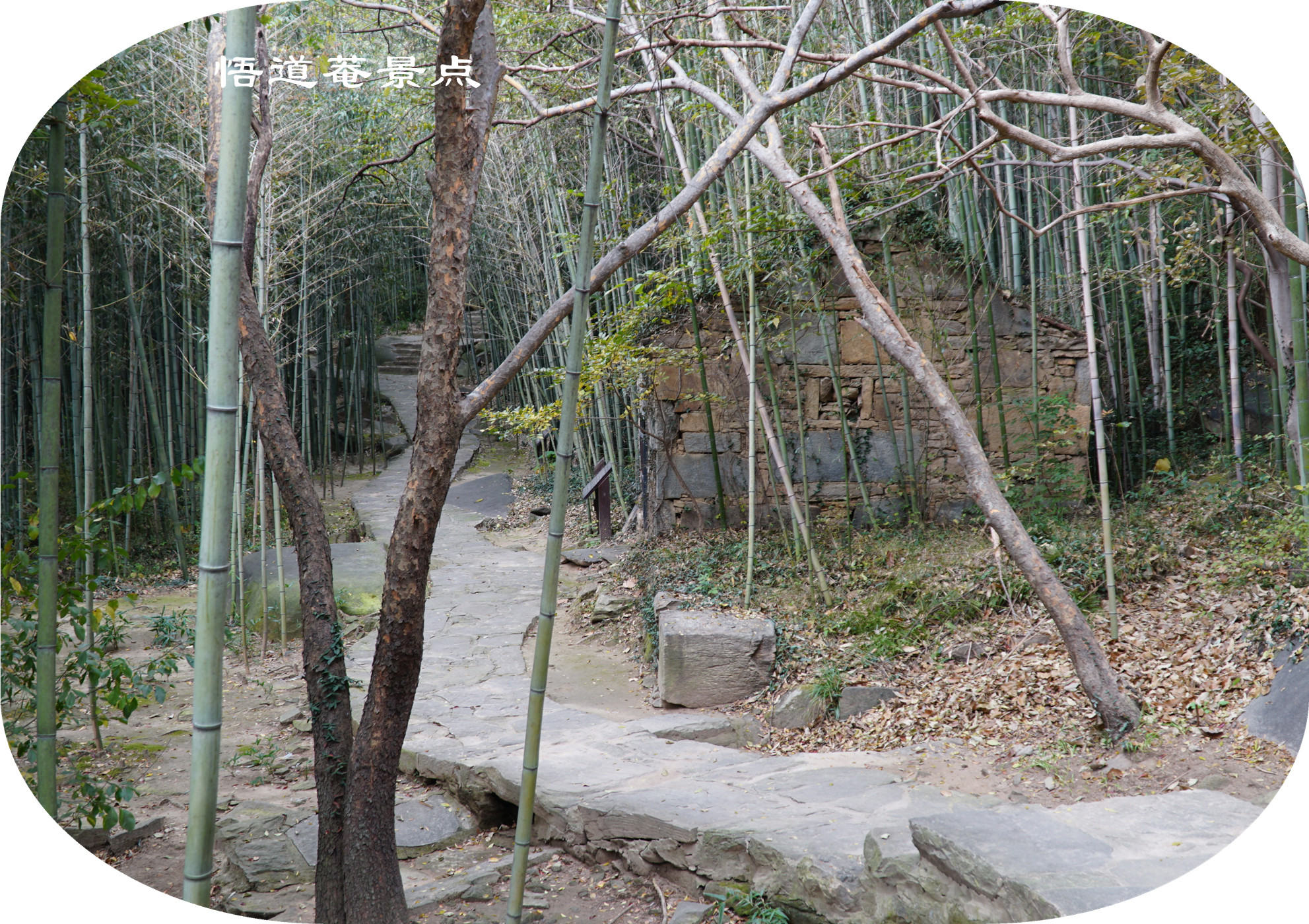 DSC03880.jpg