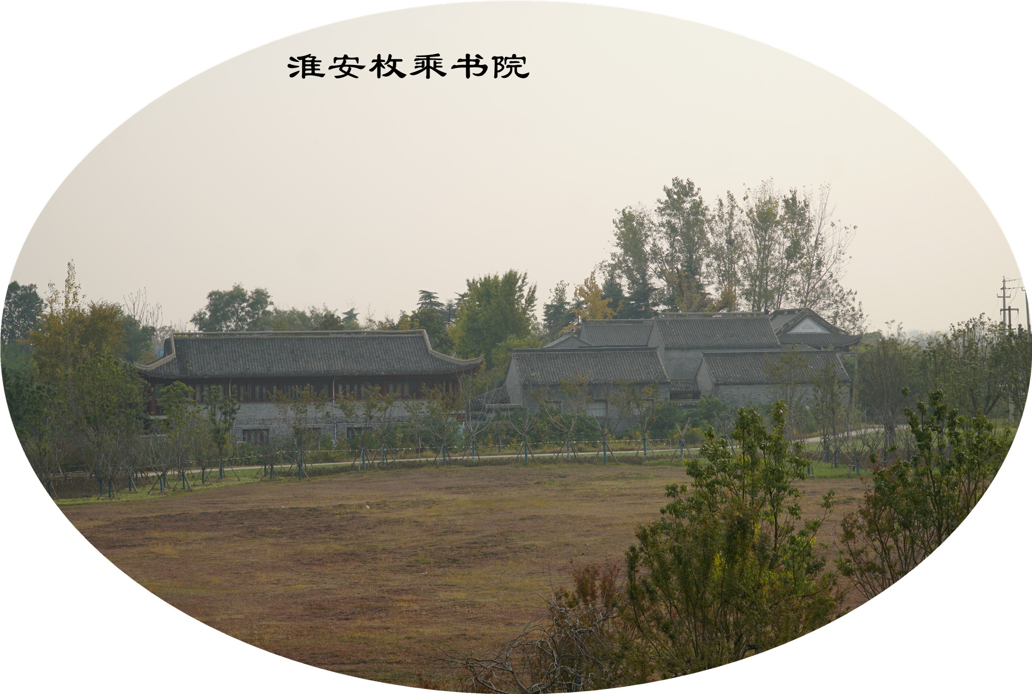 DSC03936.jpg