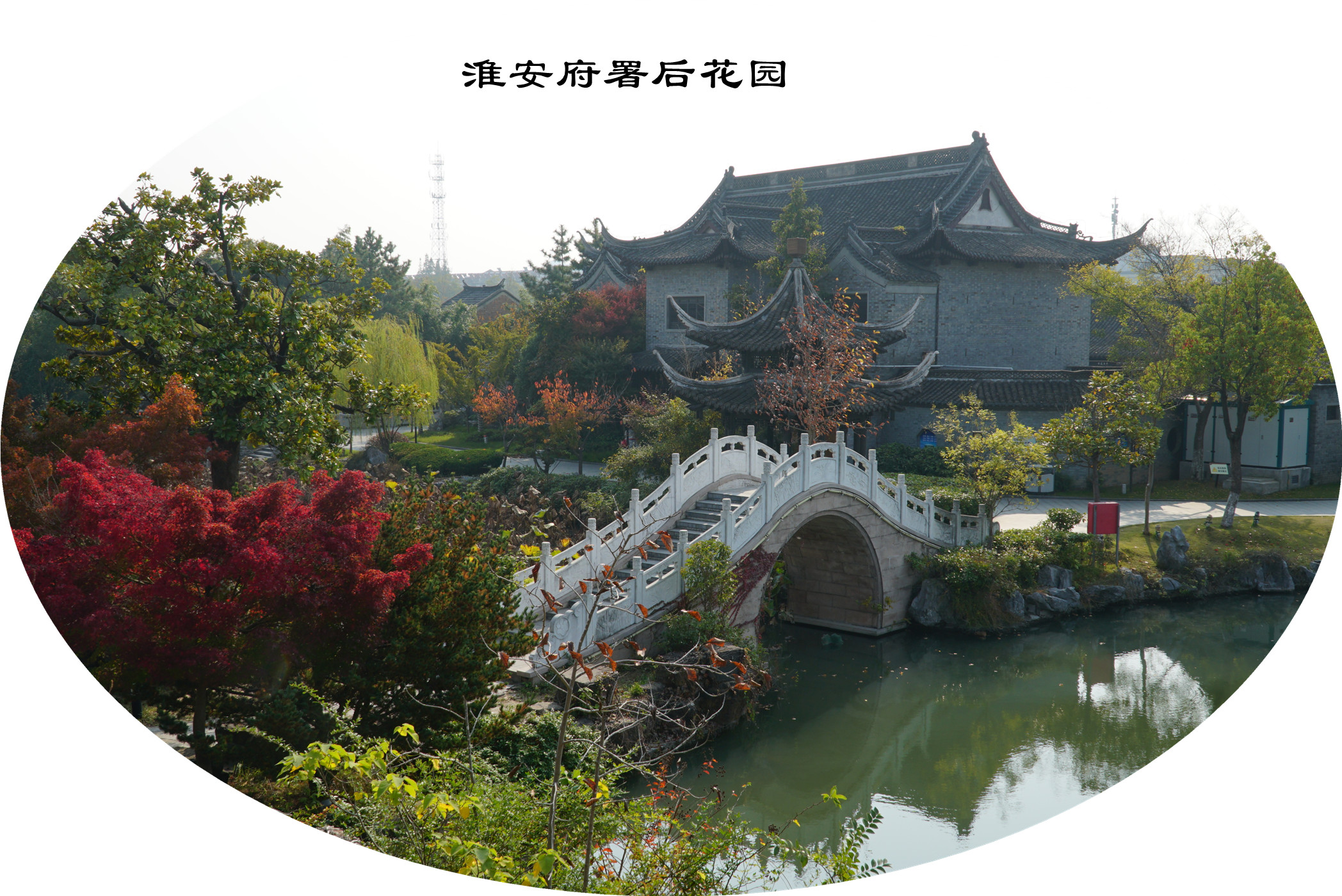 DSC03986.jpg