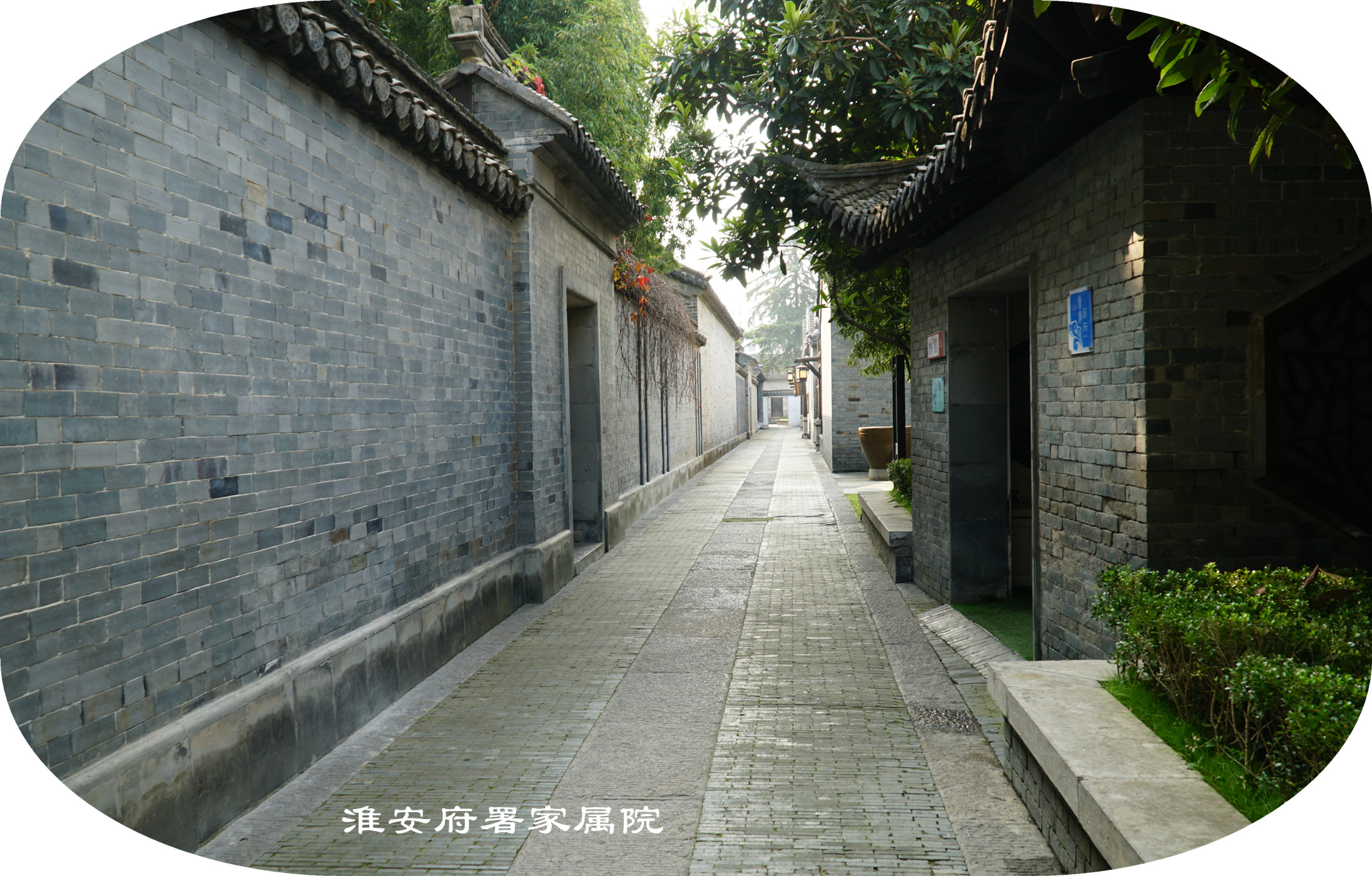 DSC03988.jpg