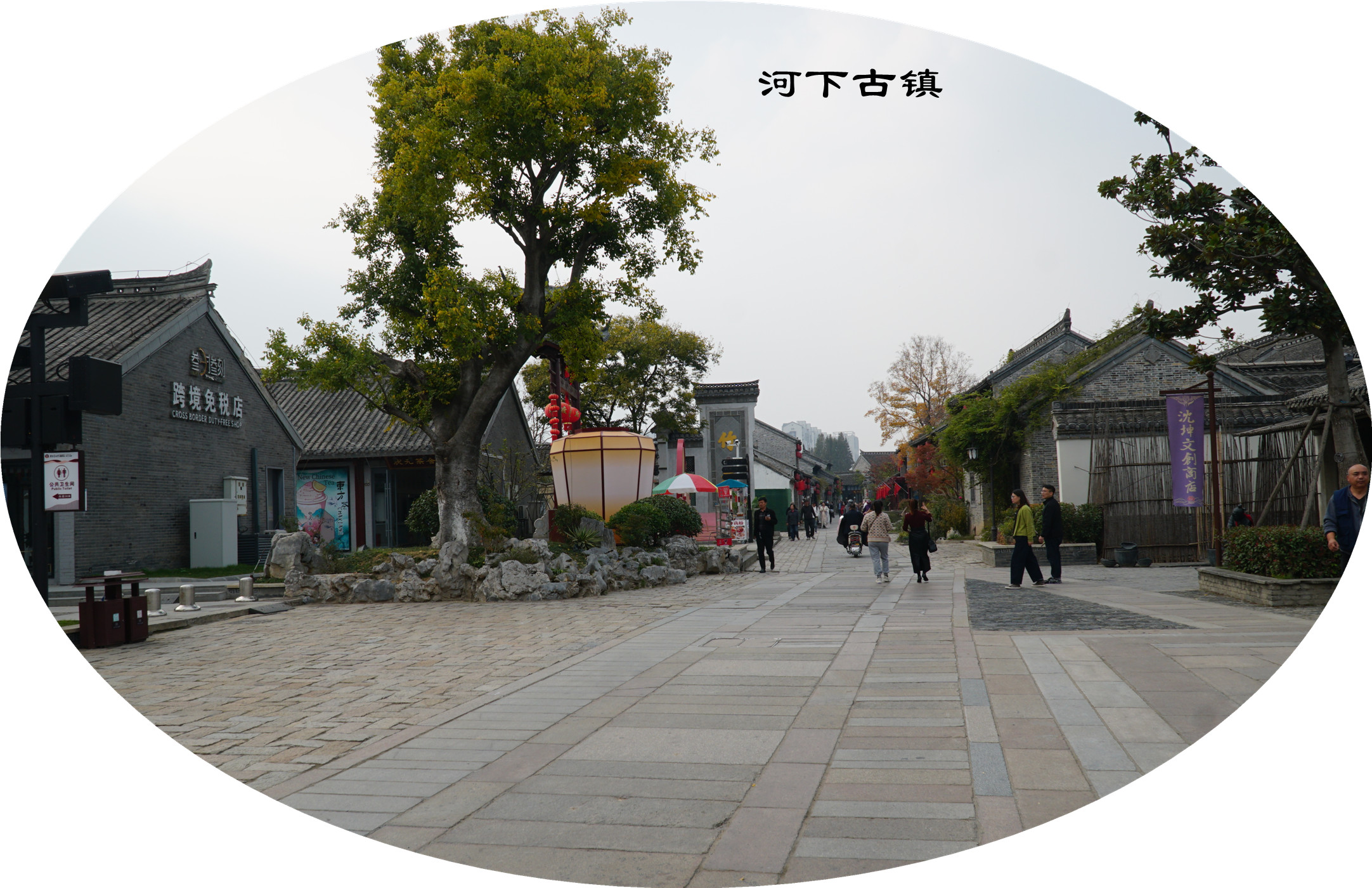 DSC04045.jpg