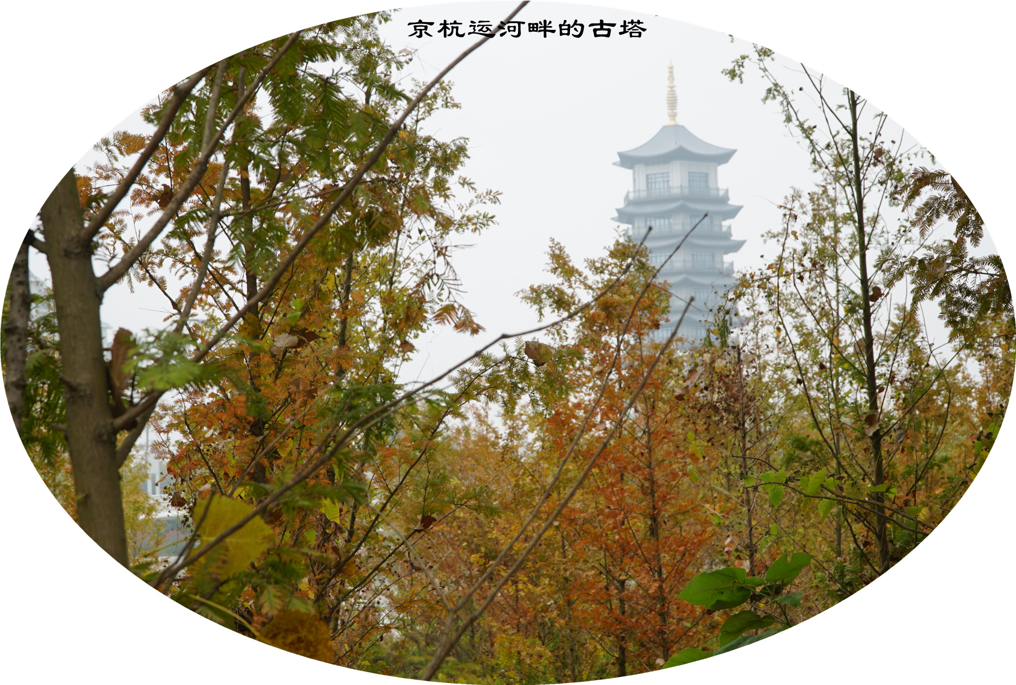 DSC04064.jpg