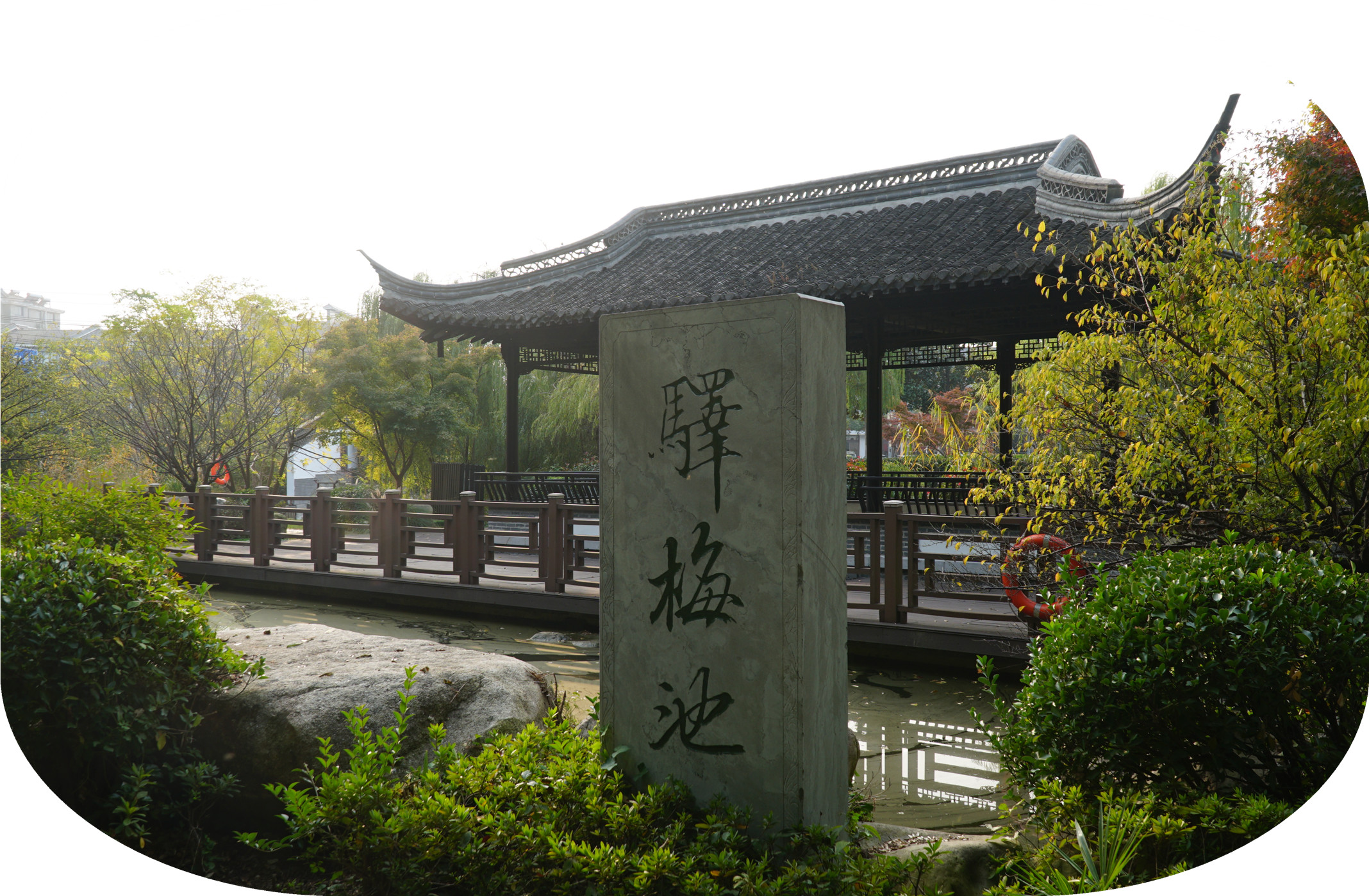 DSC04104.jpg