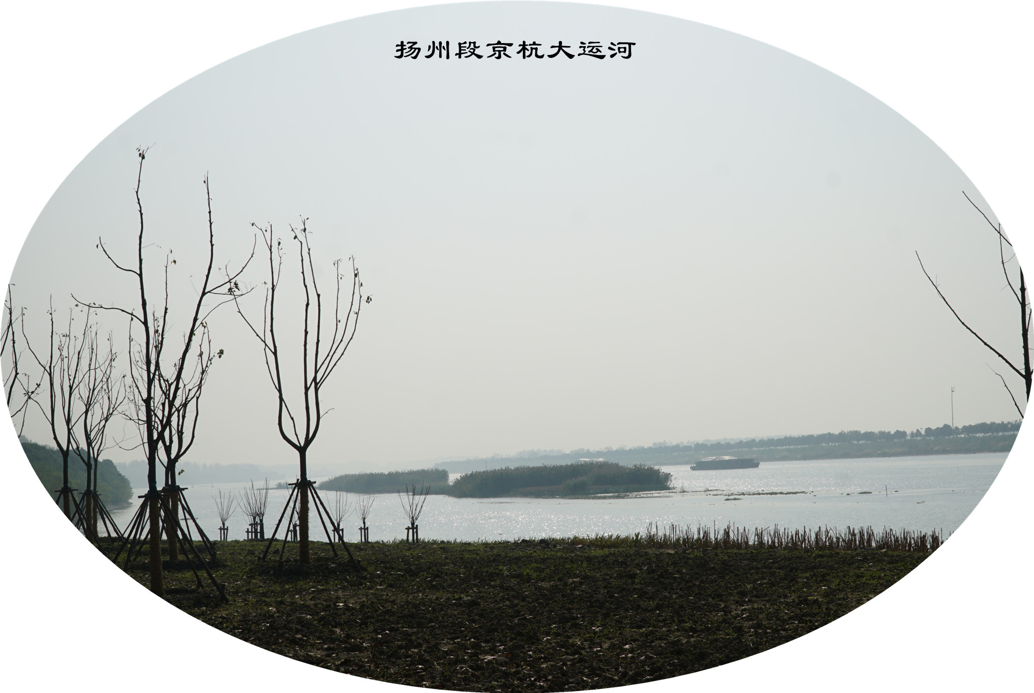 DSC04178.jpg