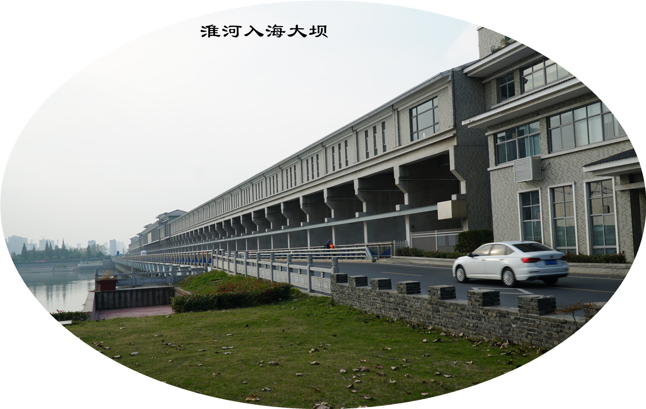 DSC04206.jpg