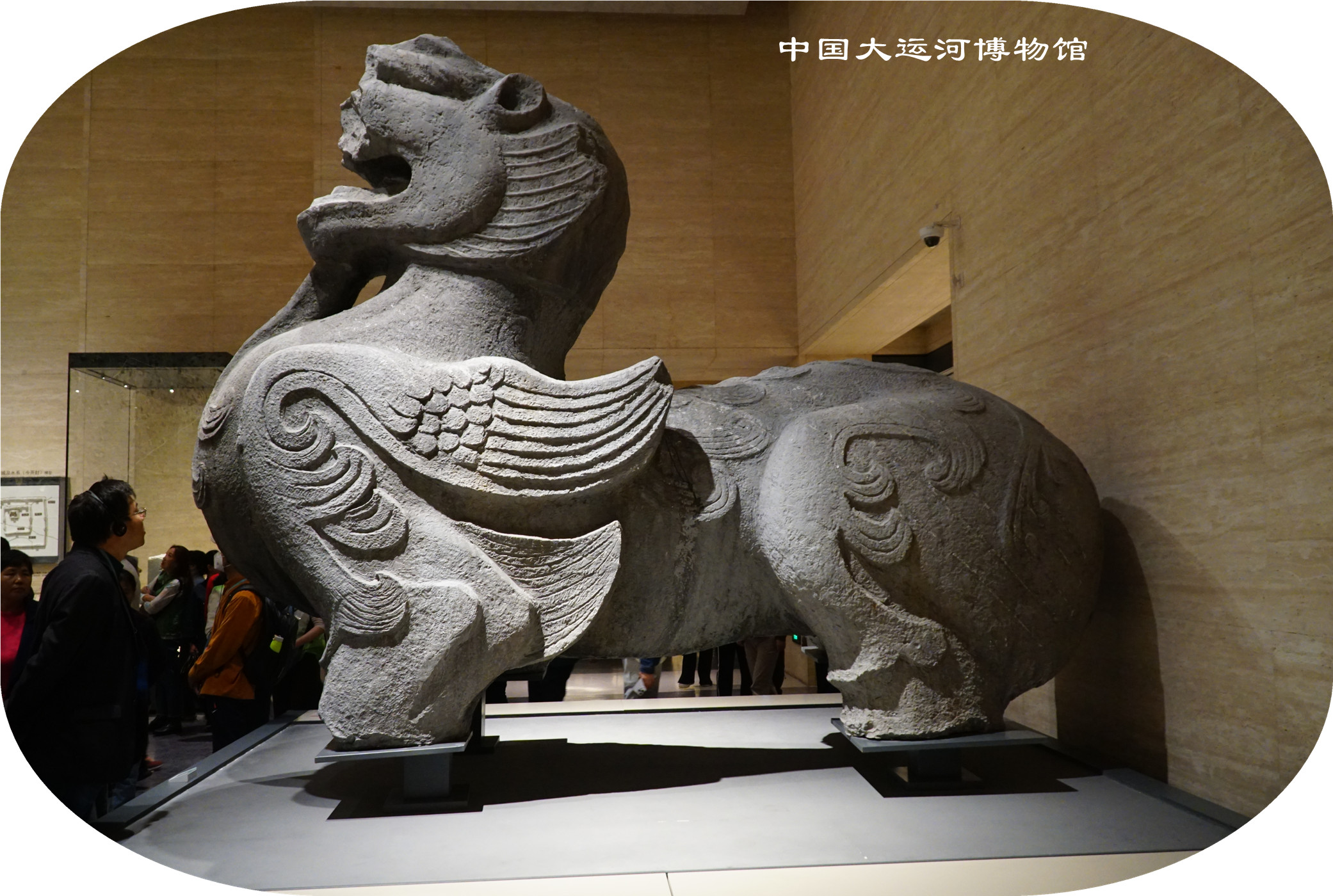 DSC04217.jpg
