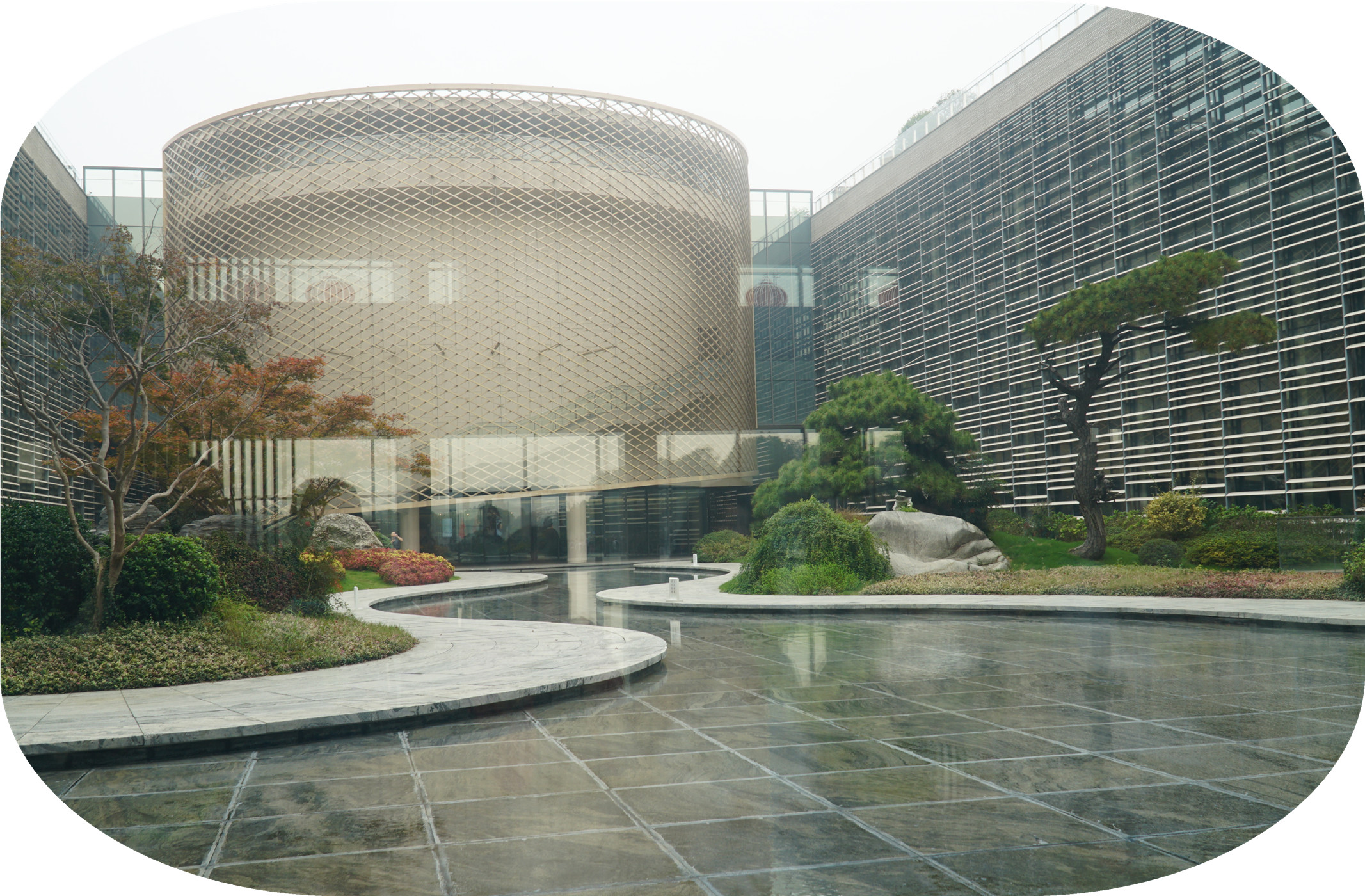 DSC04213.jpg