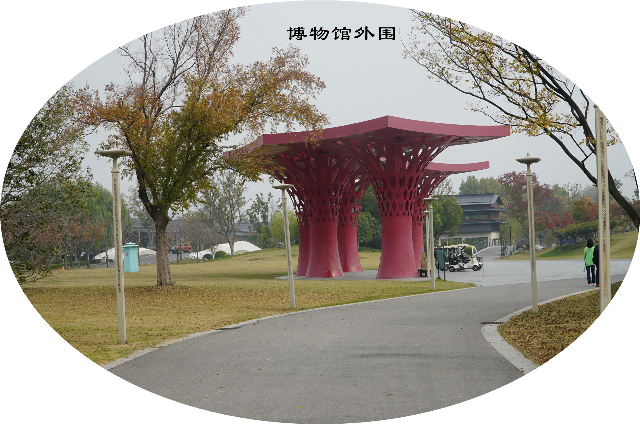 DSC04319.jpg