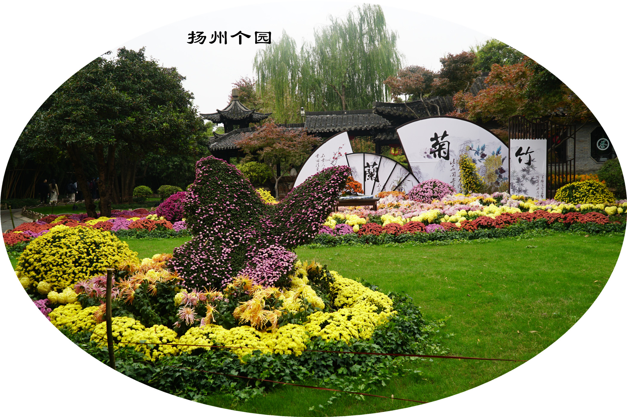 DSC04351.jpg