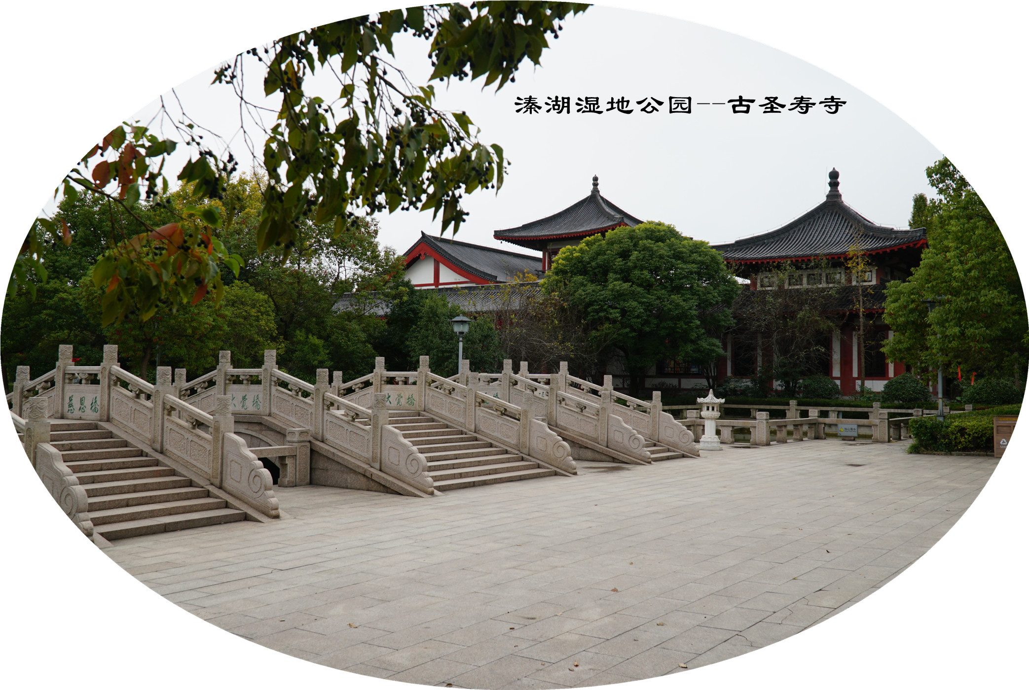 DSC04463.jpg