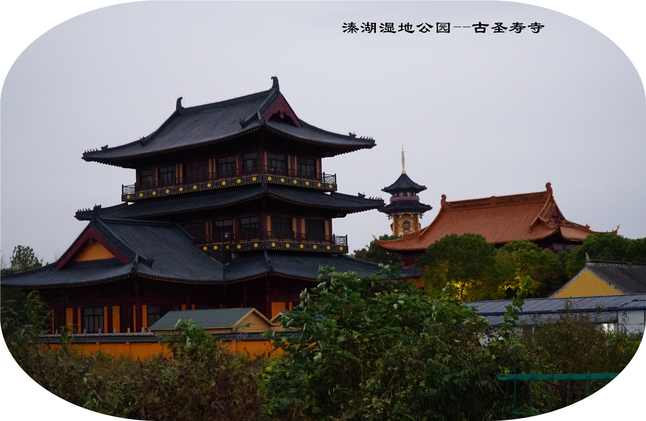 DSC04487.jpg