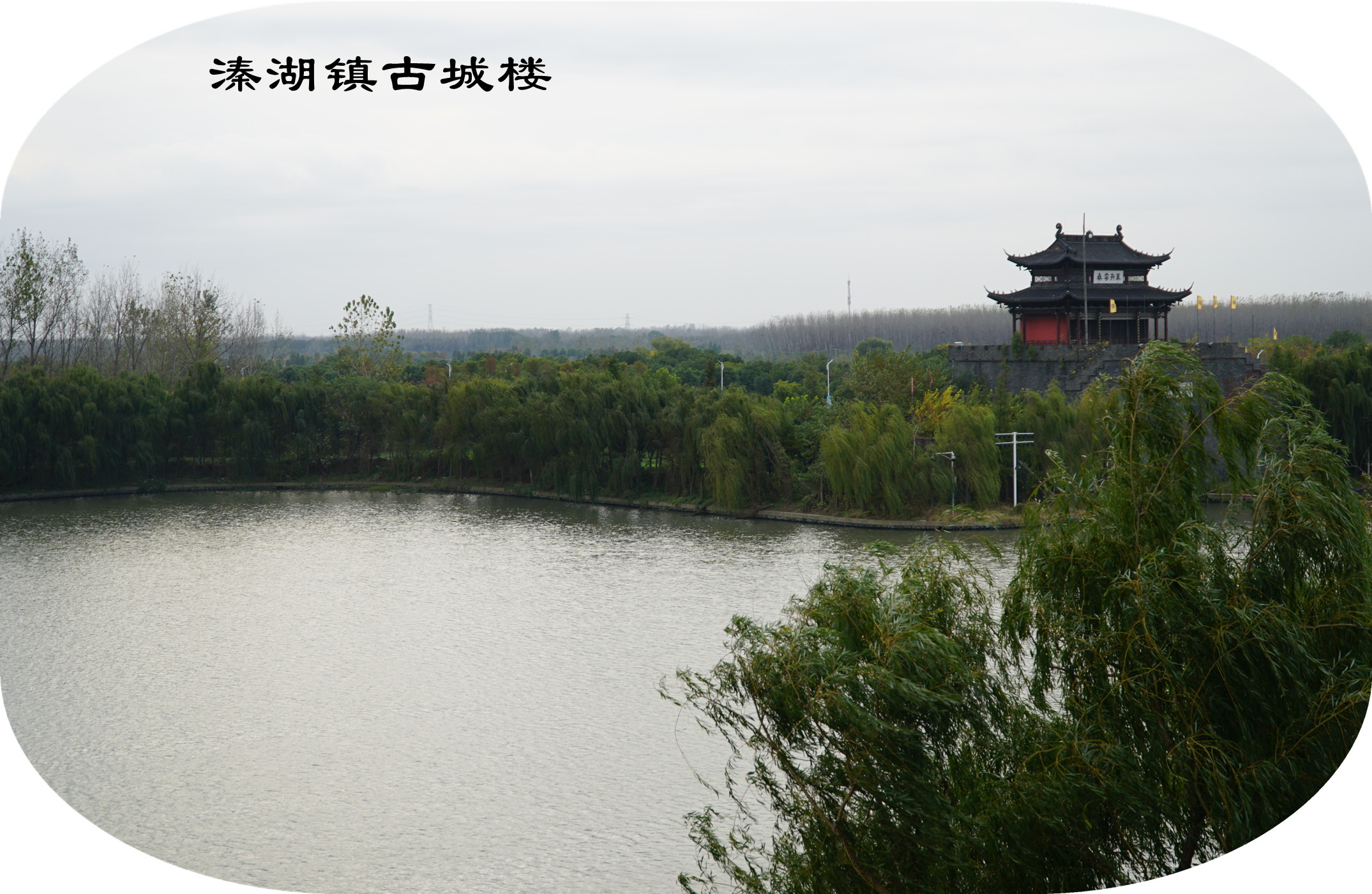 DSC04489.jpg