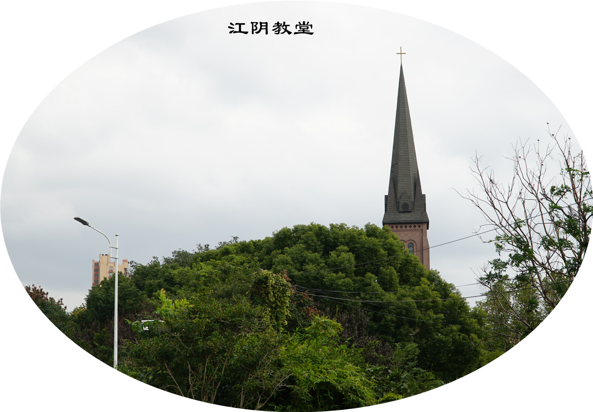 DSC04515.jpg