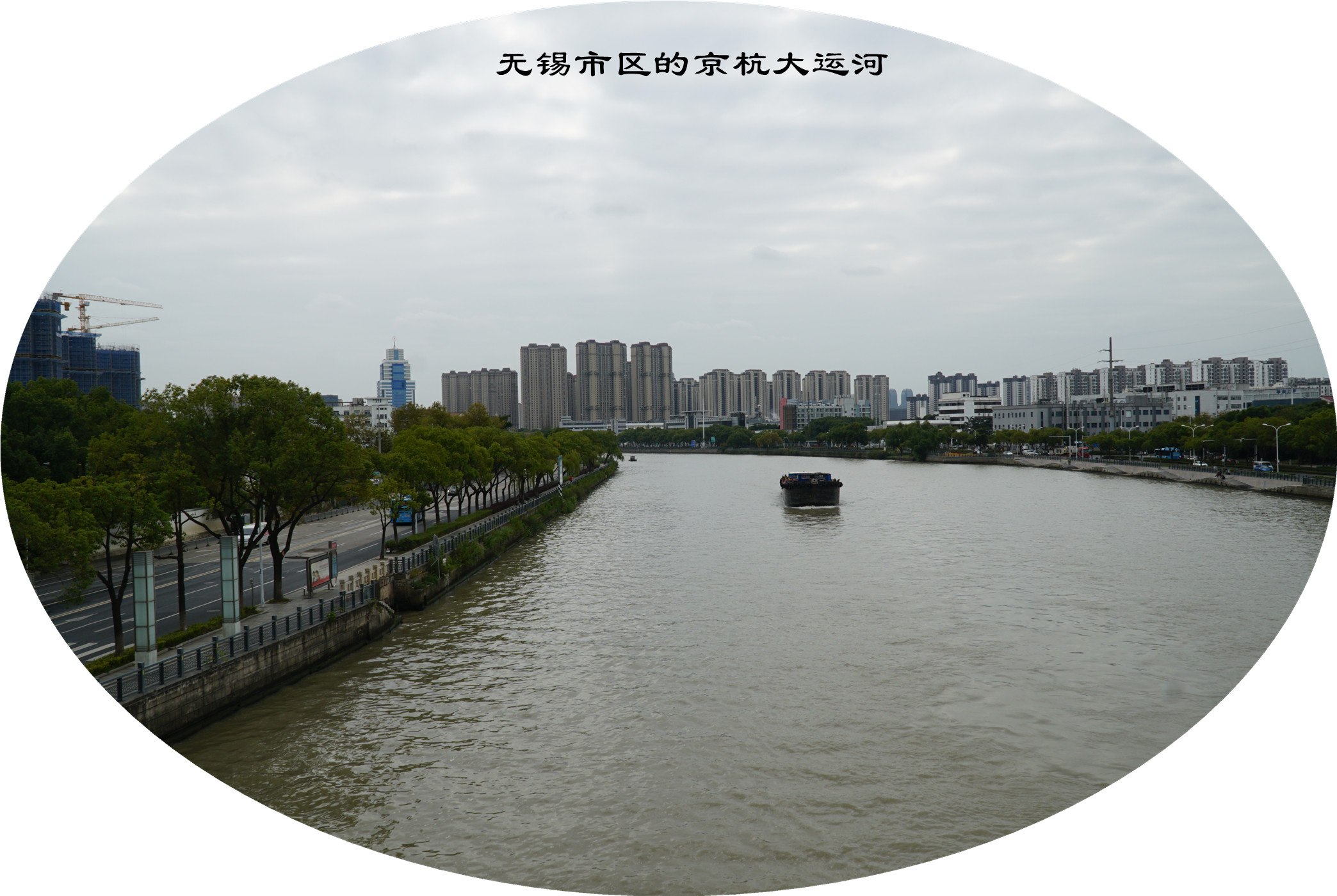 DSC04595.jpg