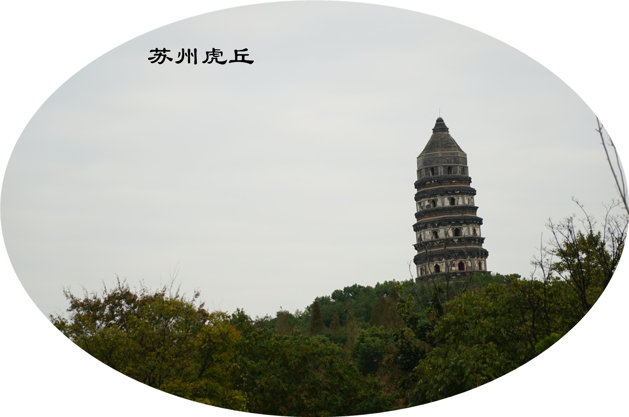 DSC04601.jpg