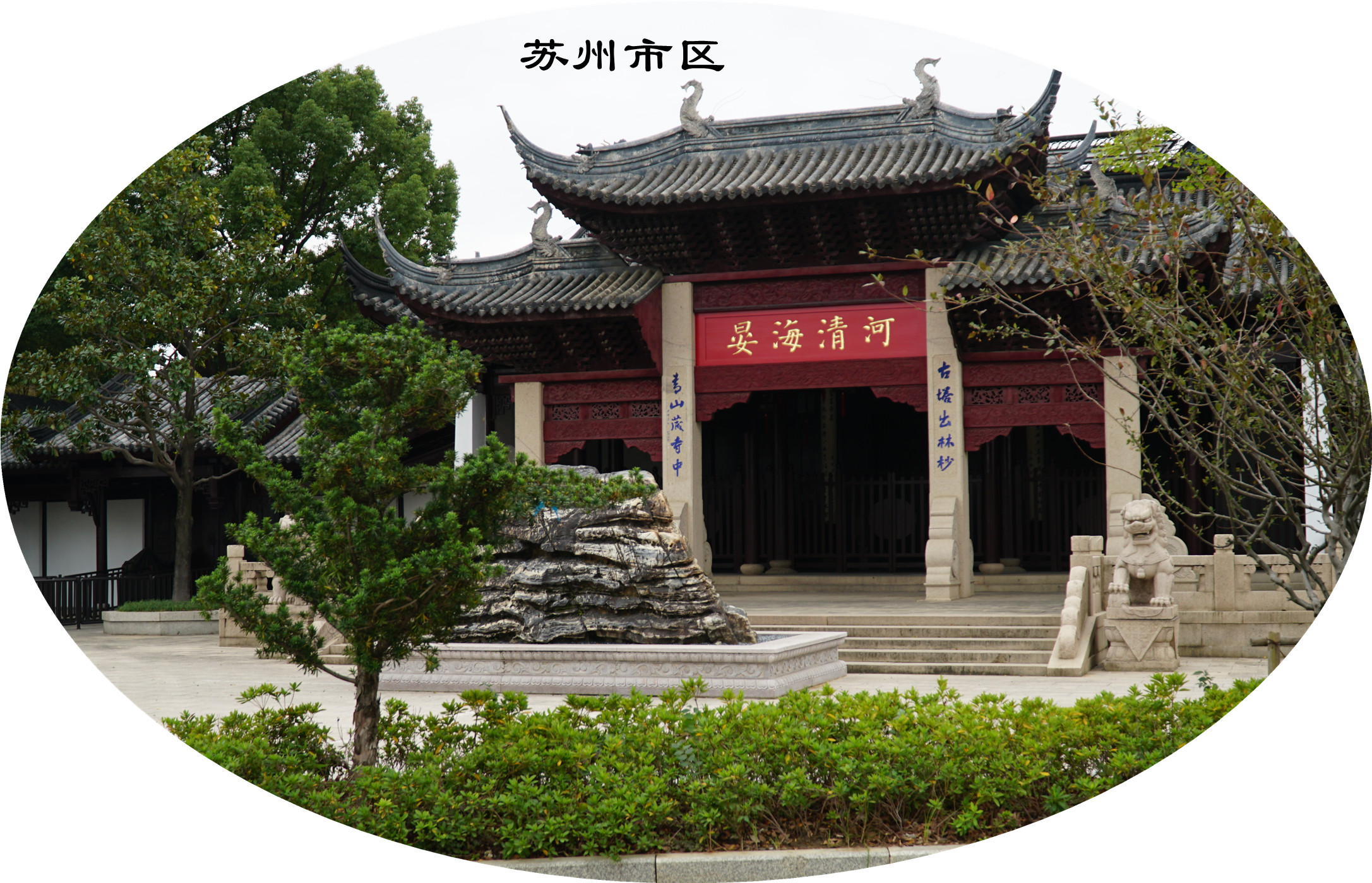 DSC04602.jpg
