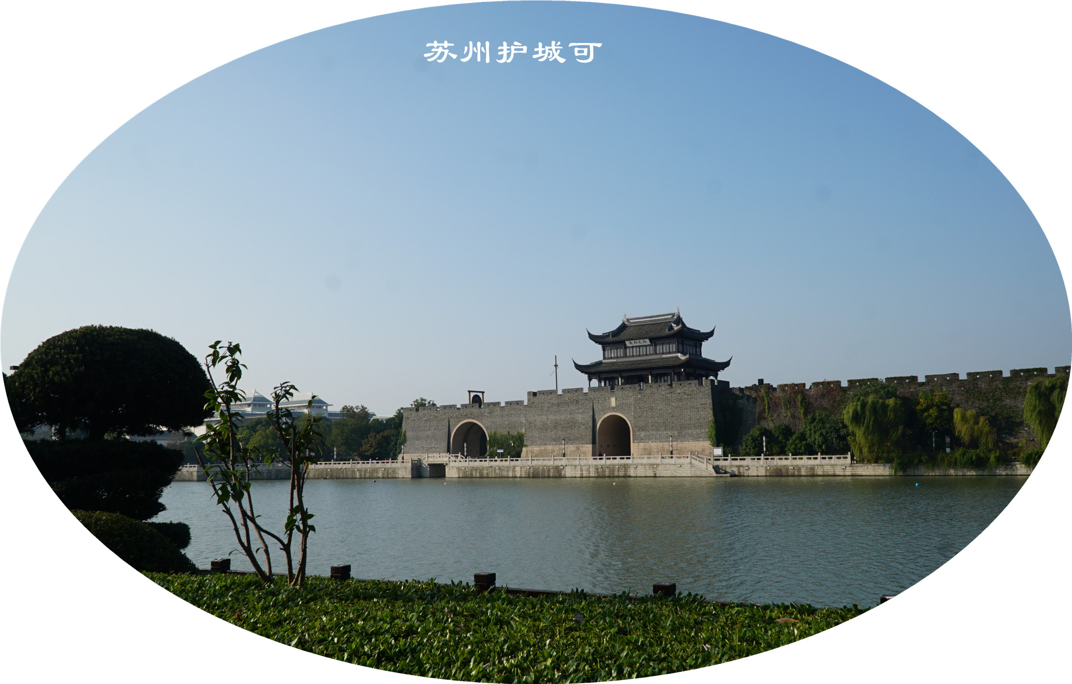 DSC04605.jpg