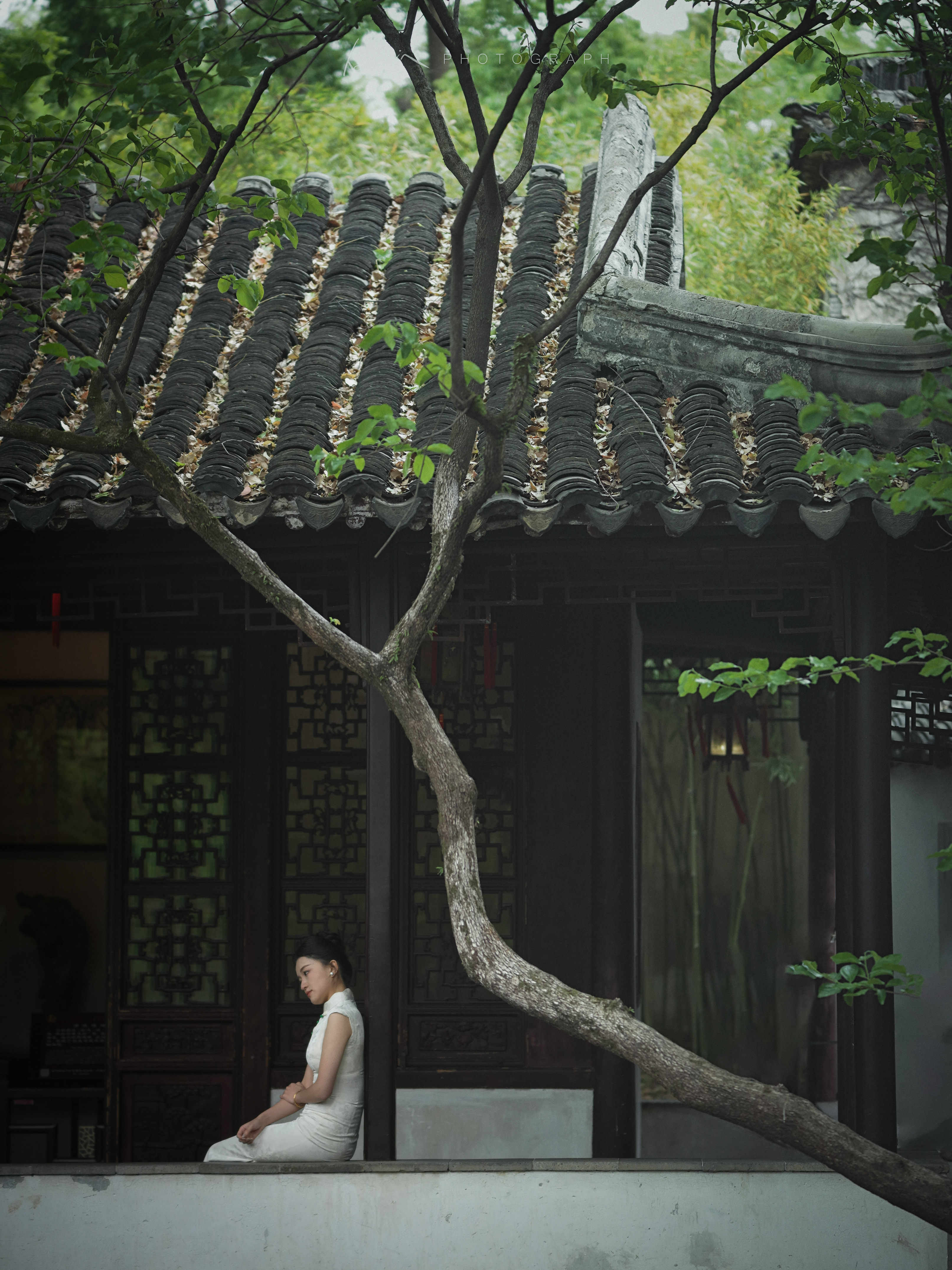 B0036865.jpg