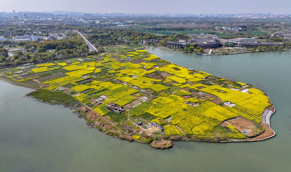 DJI_20250403141107_0043_D--421_副本.jpg