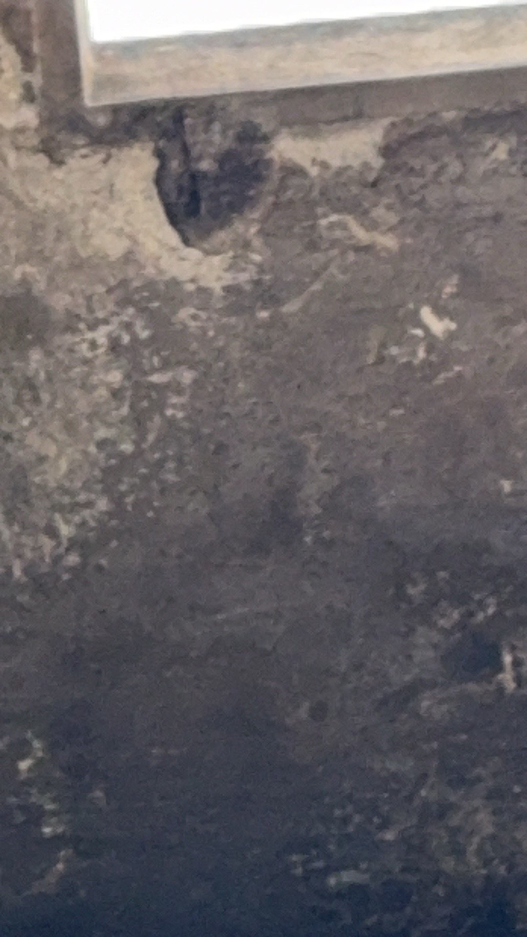 20250426223634front1_0_529563_Fm0sw47-FWz5gY7580_upyvlQRei.jpg