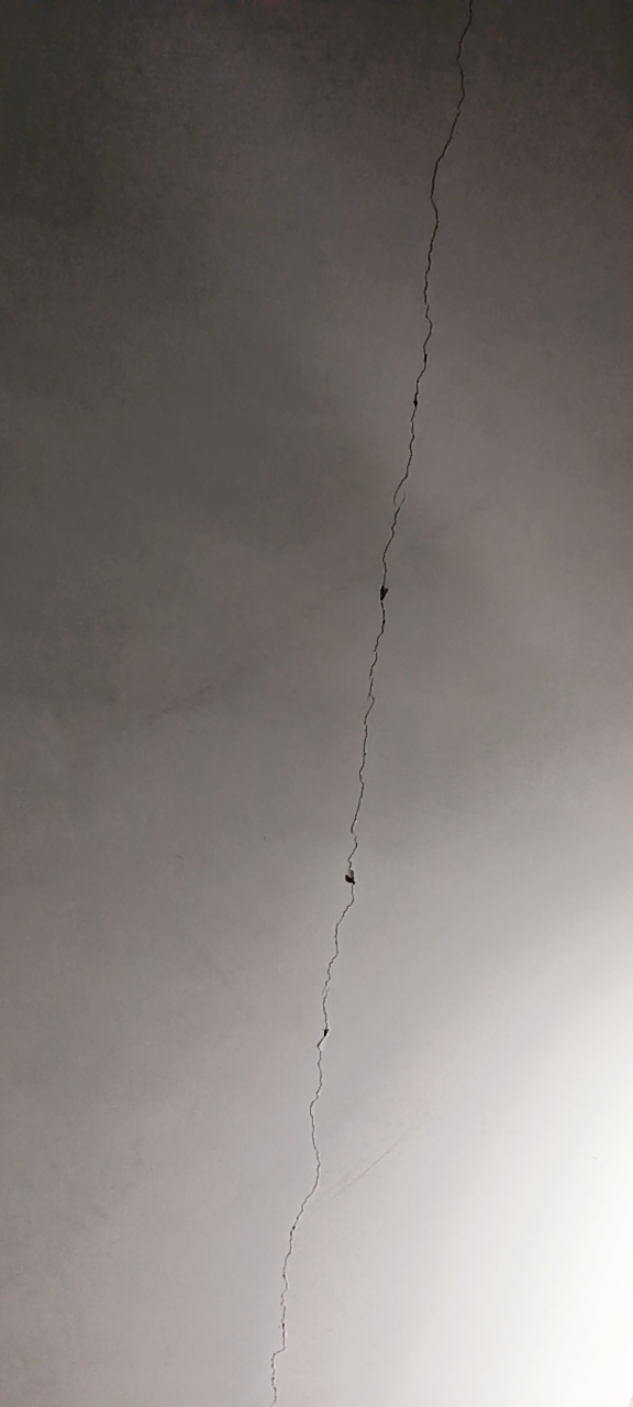 20250427061128front2_0_529562_FreXGO2KDqGNc9DhdSXWRYZVA40s.png