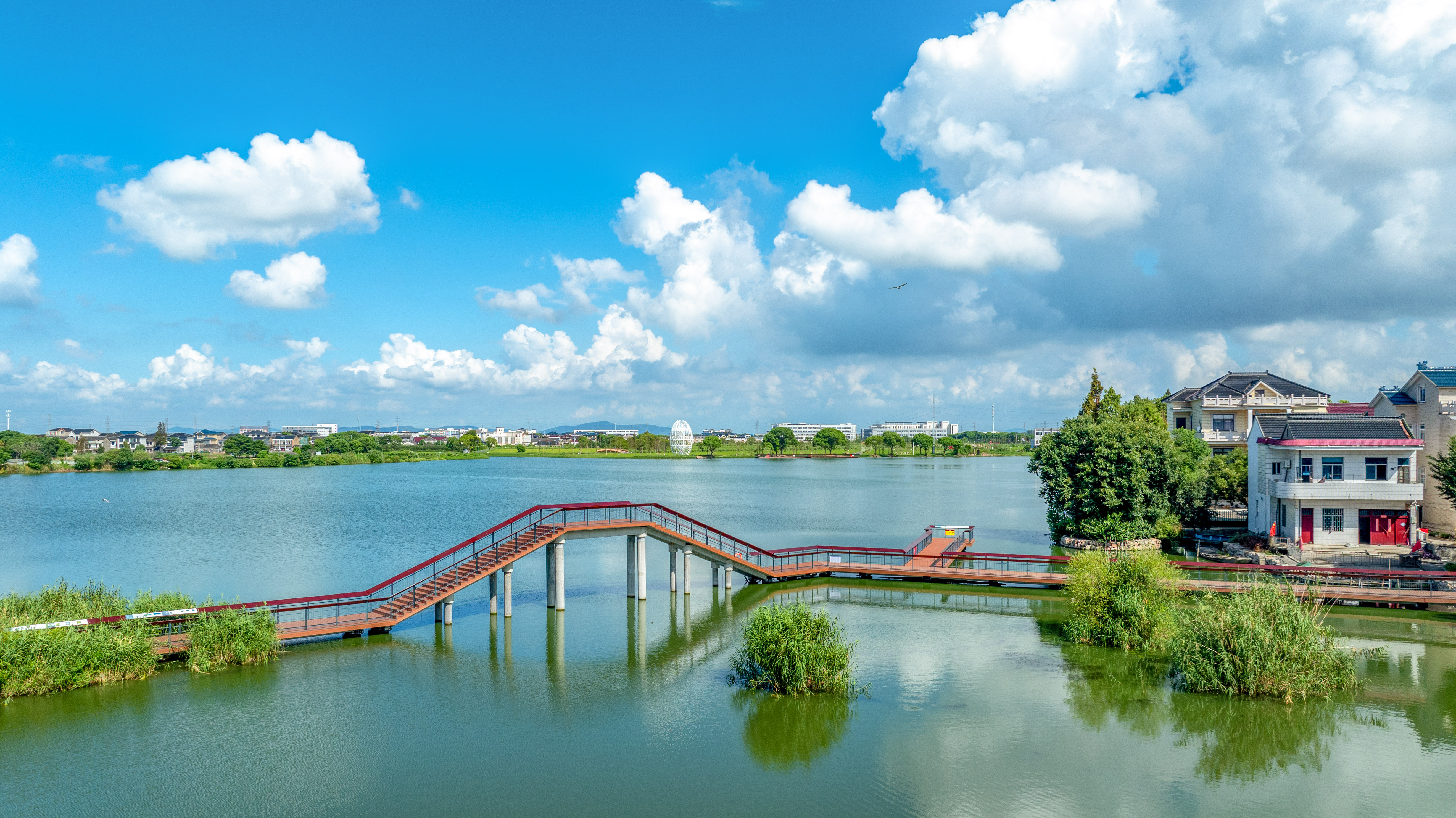 美丽荷花湾.jpg