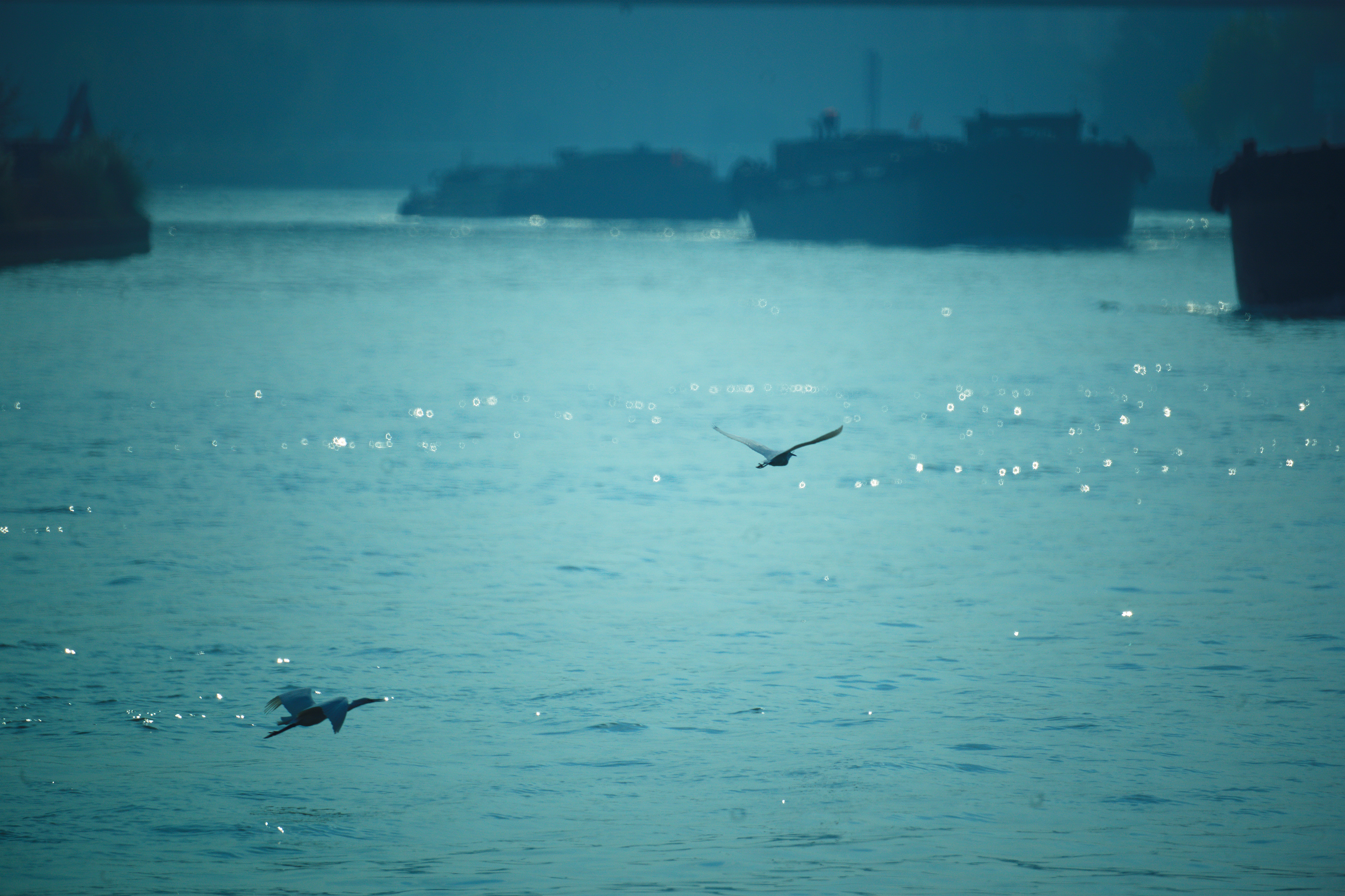 _DSC2833_副本《生态大运河》.jpg