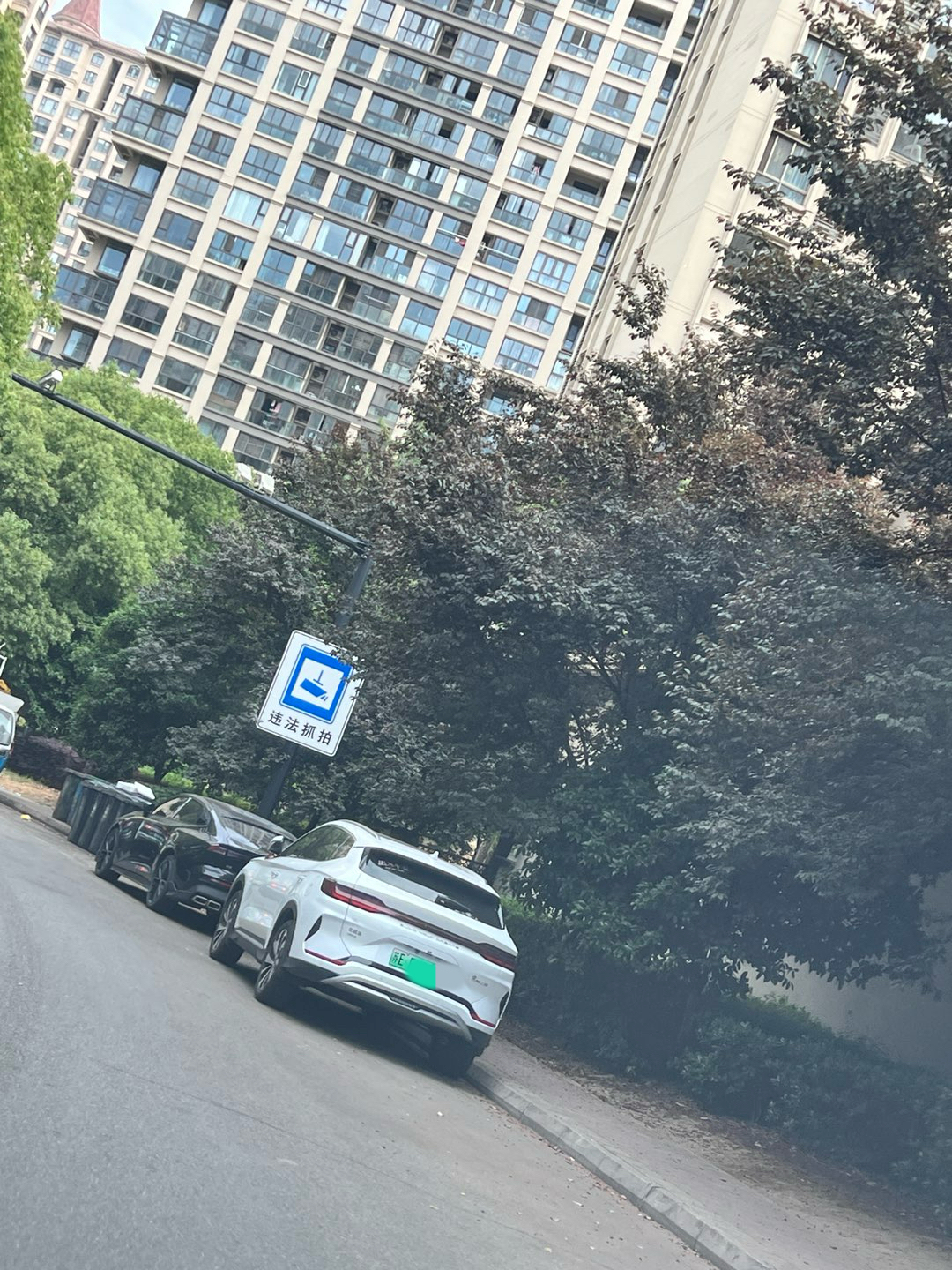 IMG_5135.jpeg