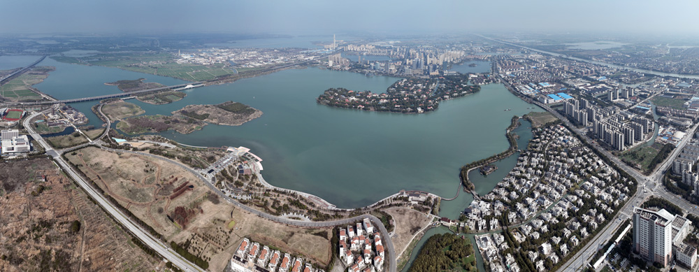 汾湖新区全景.jpg