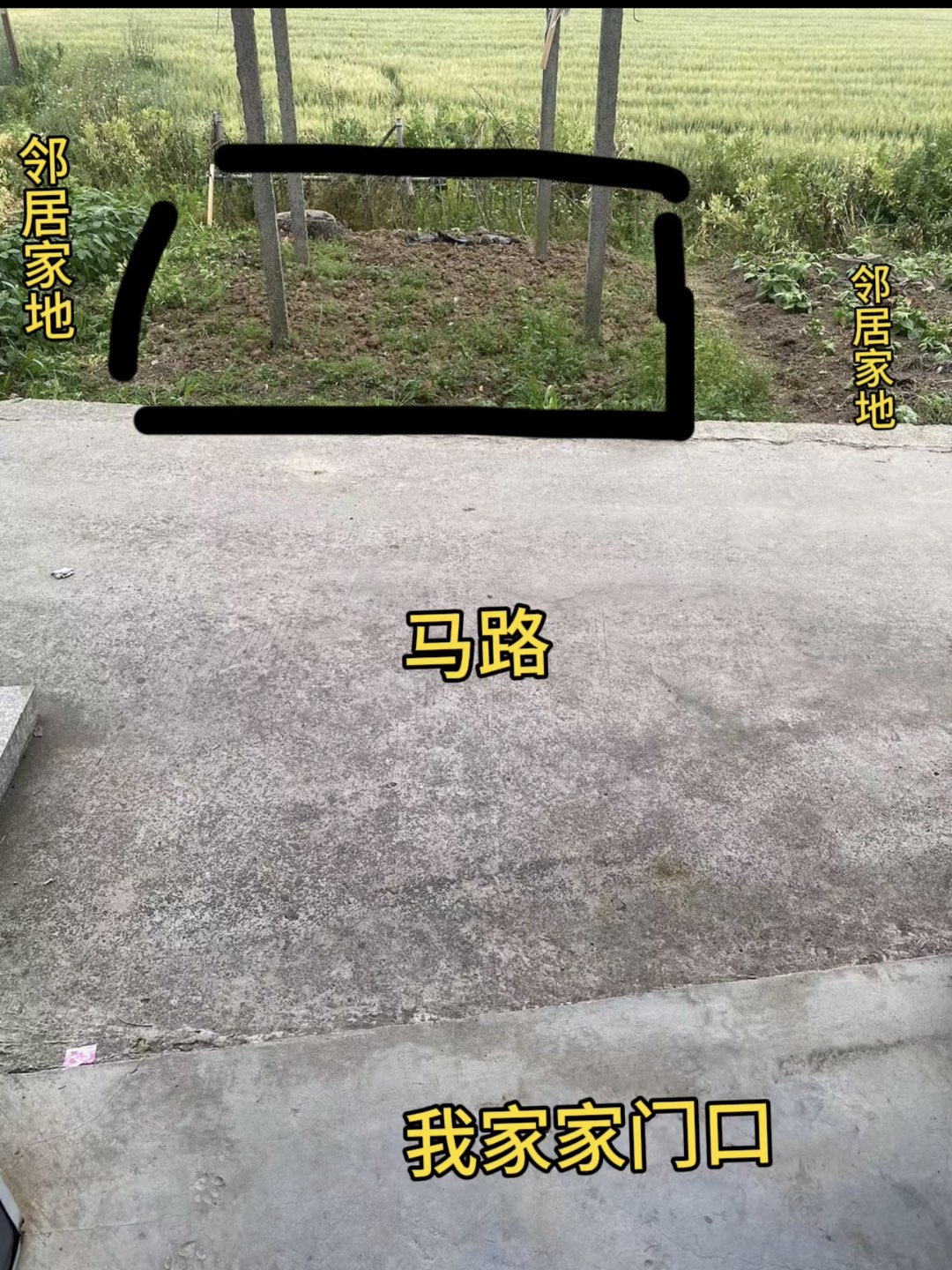 20250506111941front1_0_376831_Fsh5YXGIn0y26EhhjHbHnJGeDPF0.jpg