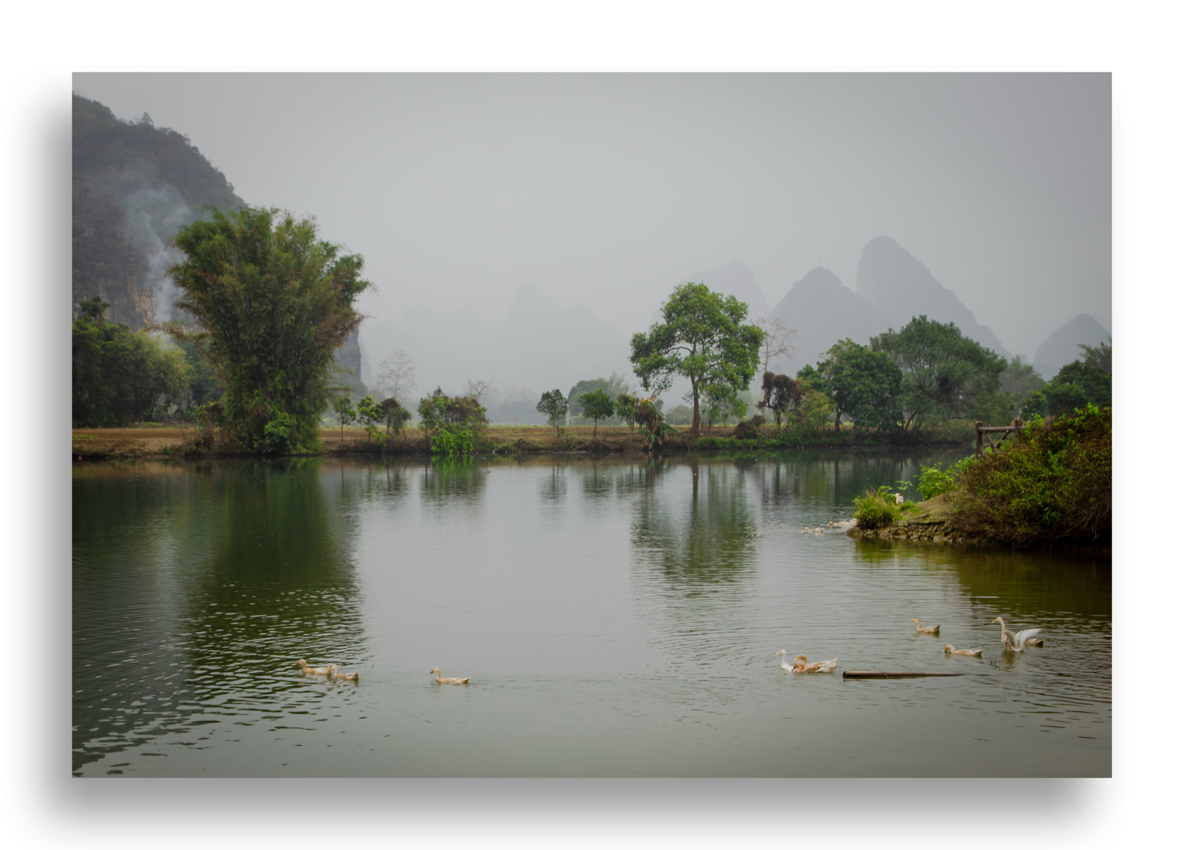 _DSC8852-已增强-降噪-编辑.jpg