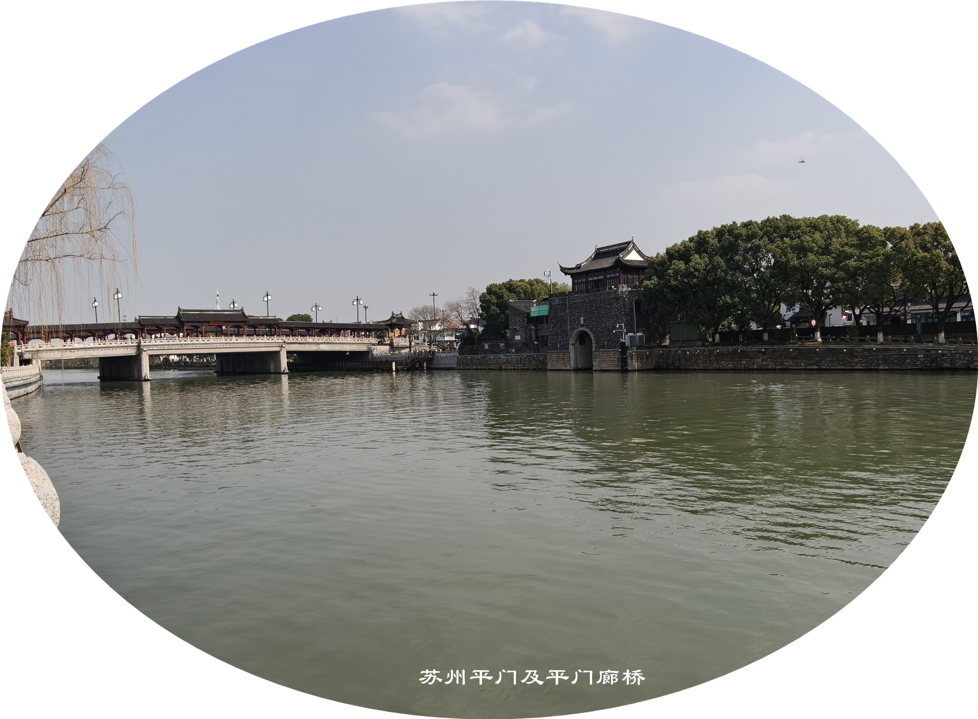 IMG20250319142107.jpg