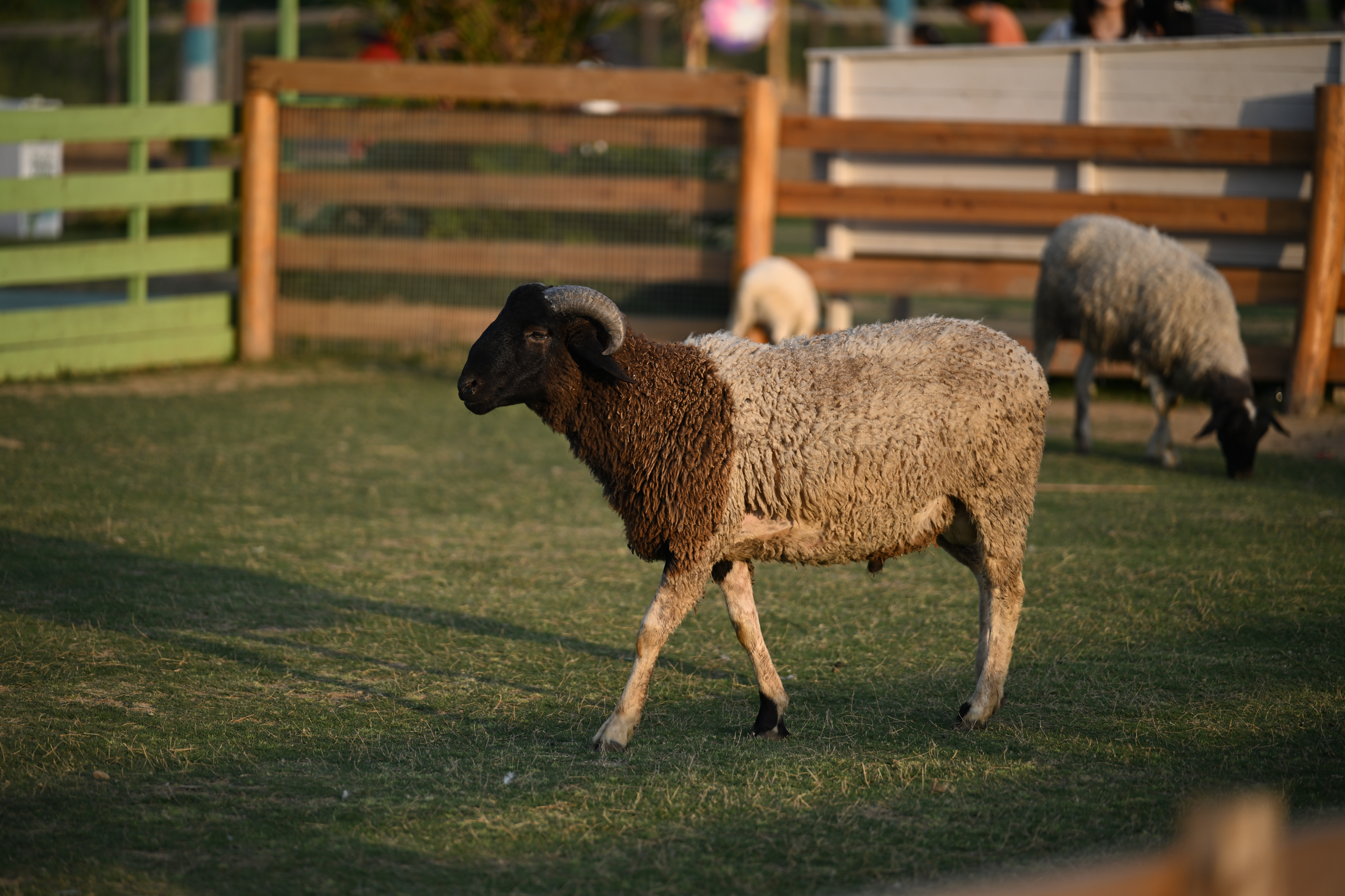 DSC_2781.jpg