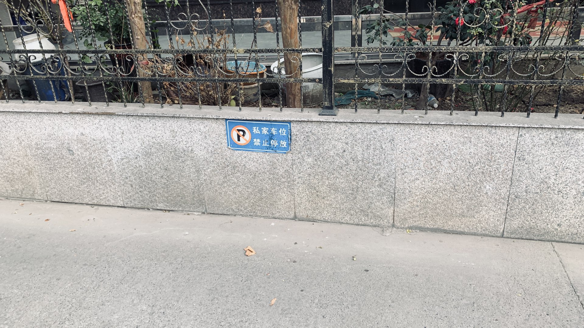 20250511152126front1_0_529836_Ftg-E0cIhPv9JZhxETVRAvHXW6MA.jpg