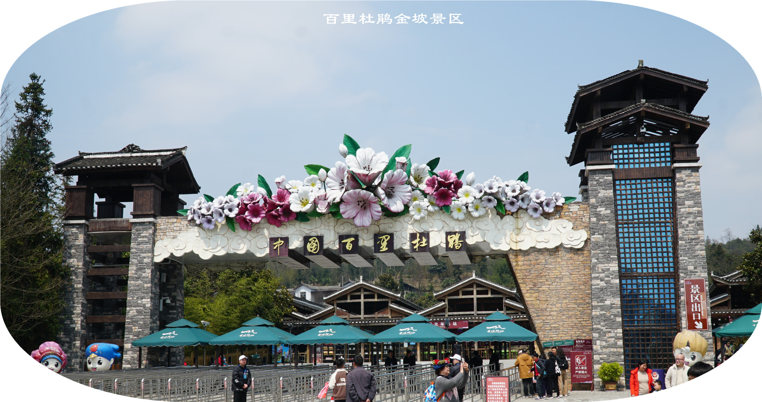 DSC04637.jpg