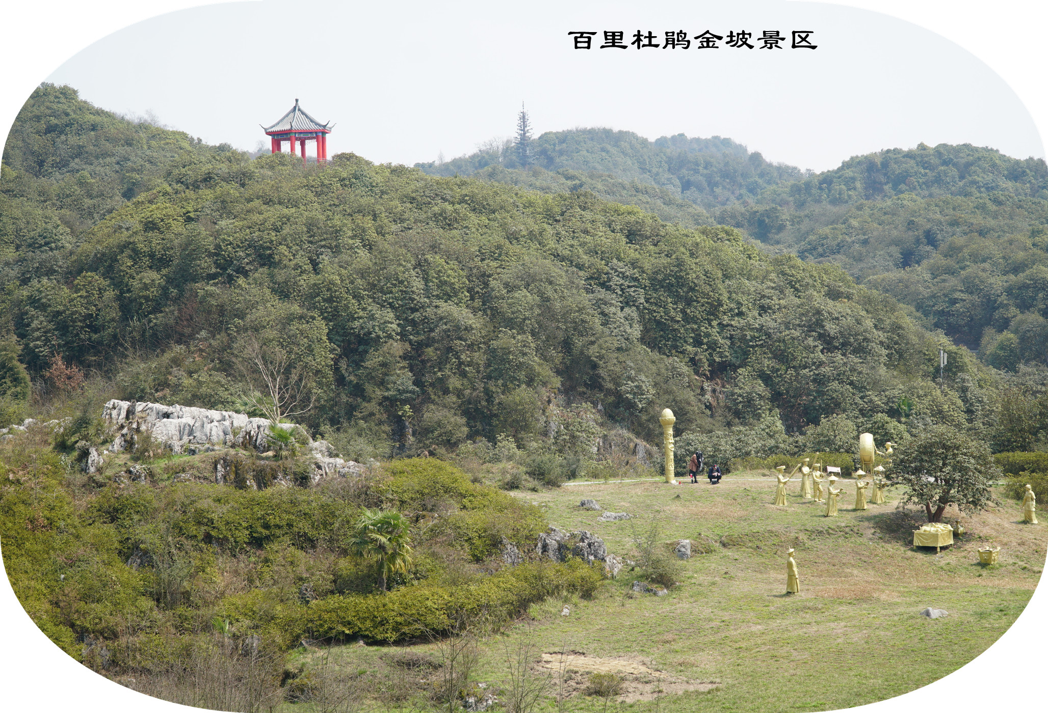 DSC04640.jpg