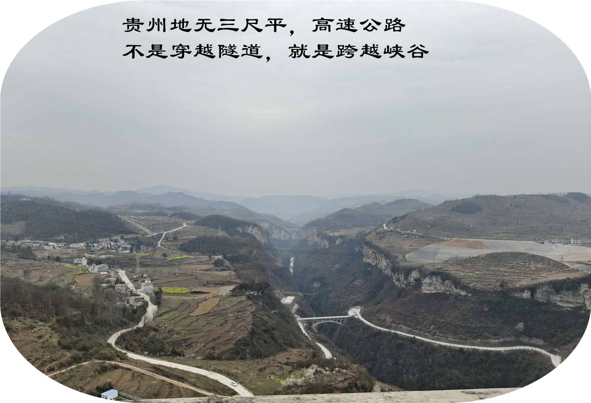 IMG20250323100547.jpg