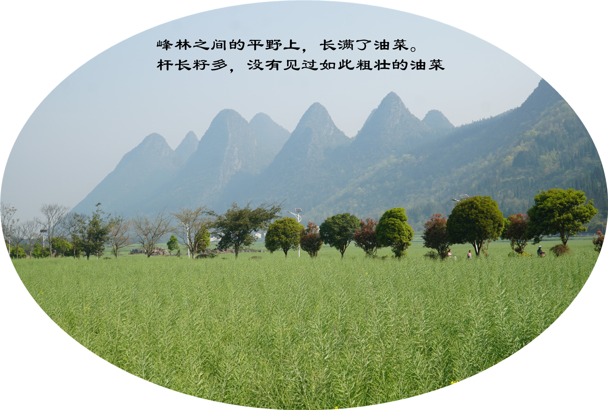 DSC04726.jpg
