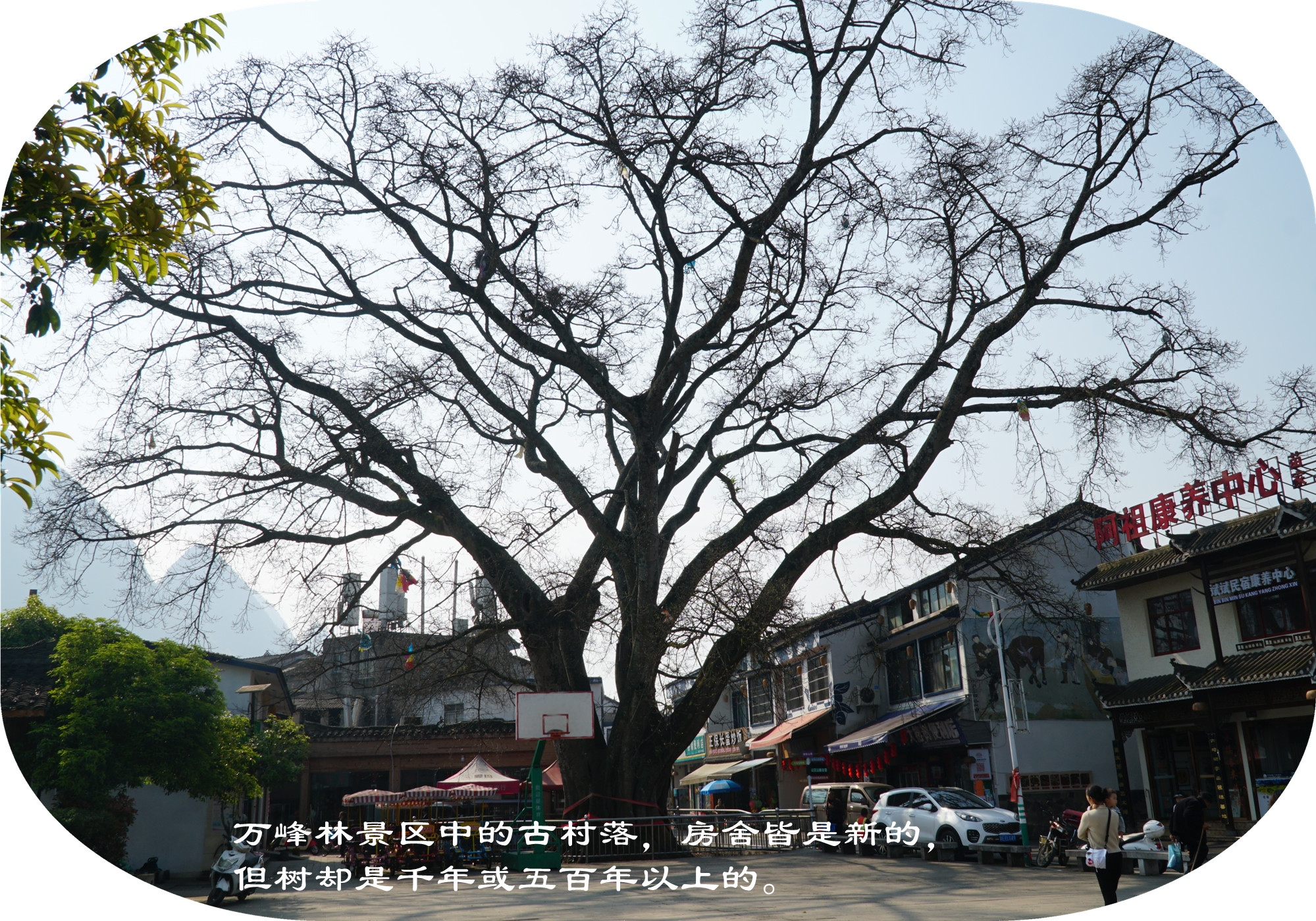 DSC04729.jpg