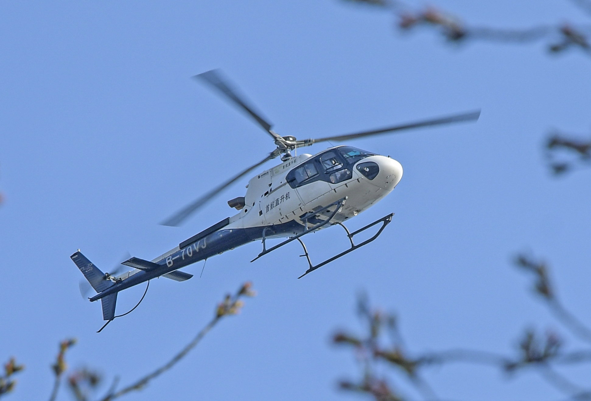 DSC_0076-2.jpg